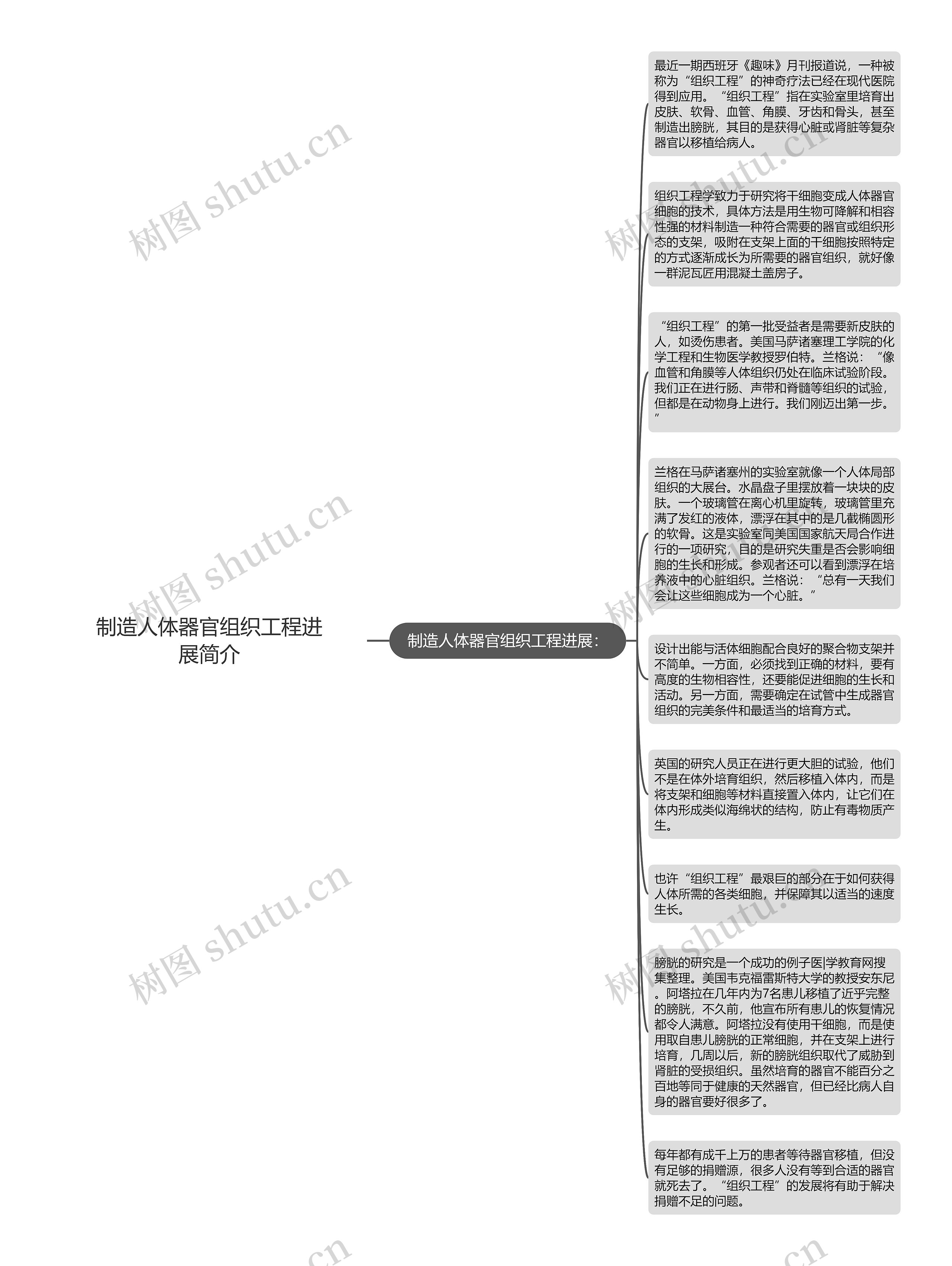 制造人体器官组织工程进展简介思维导图