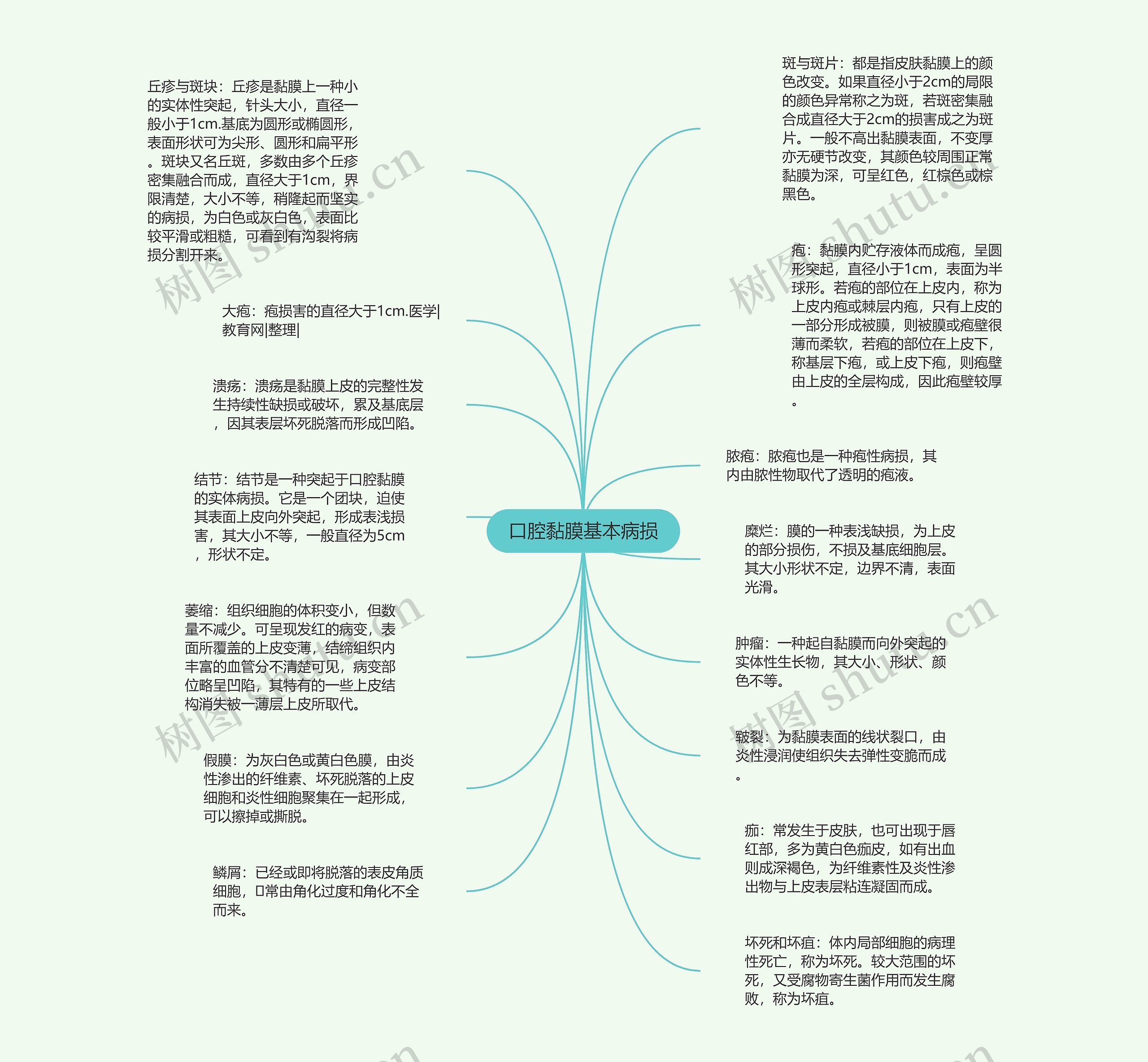 口腔黏膜基本病损思维导图