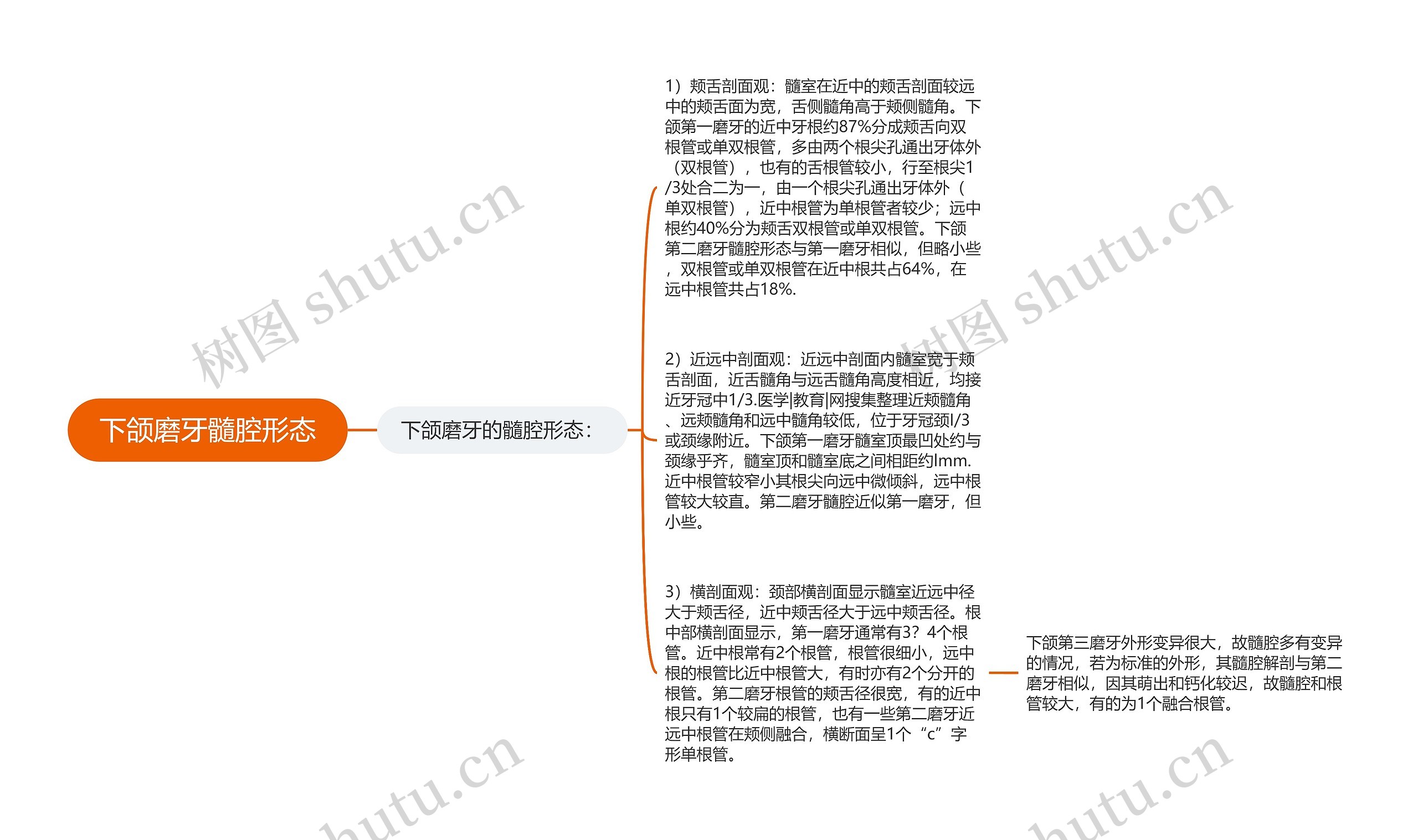 下颌磨牙髓腔形态思维导图