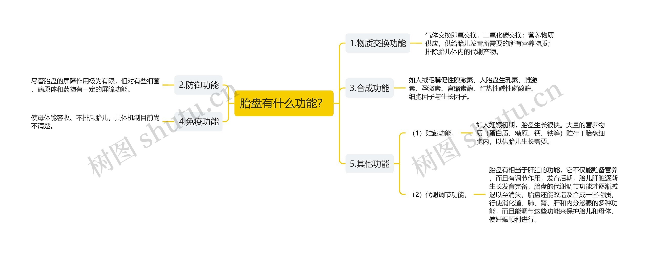 胎盘有什么功能？思维导图