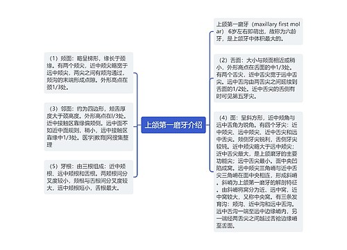 上颌第一磨牙介绍