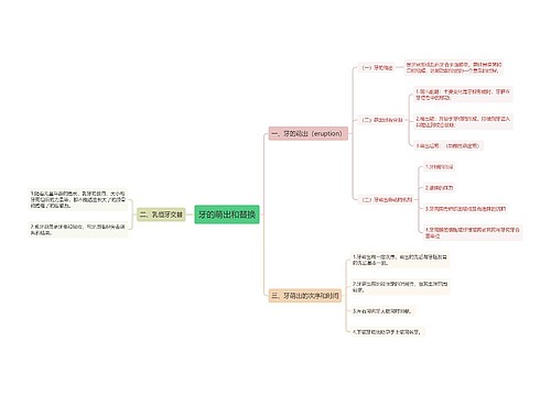 牙的萌出和替换