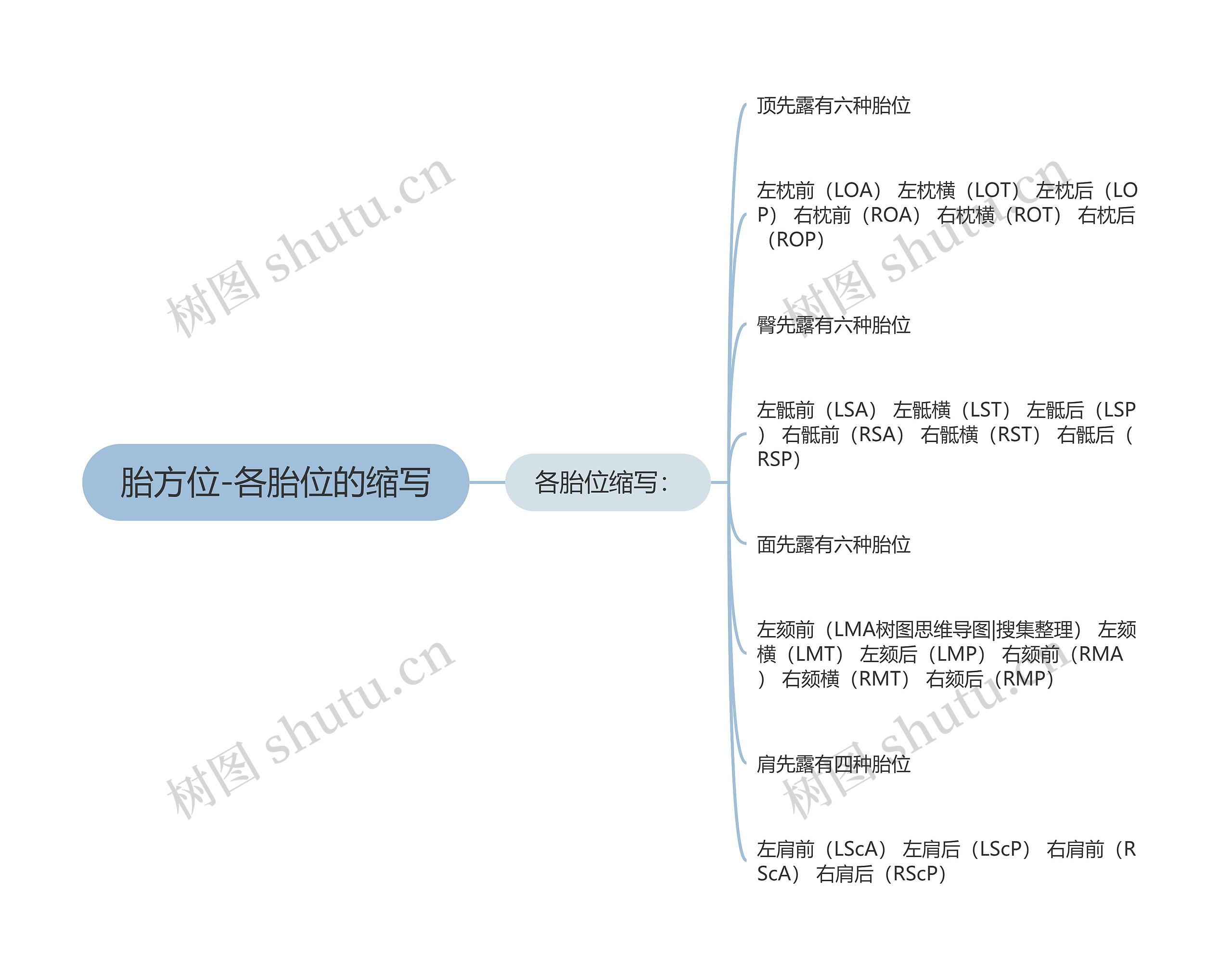 胎方位-各胎位的缩写 胎方位-各胎位的缩写