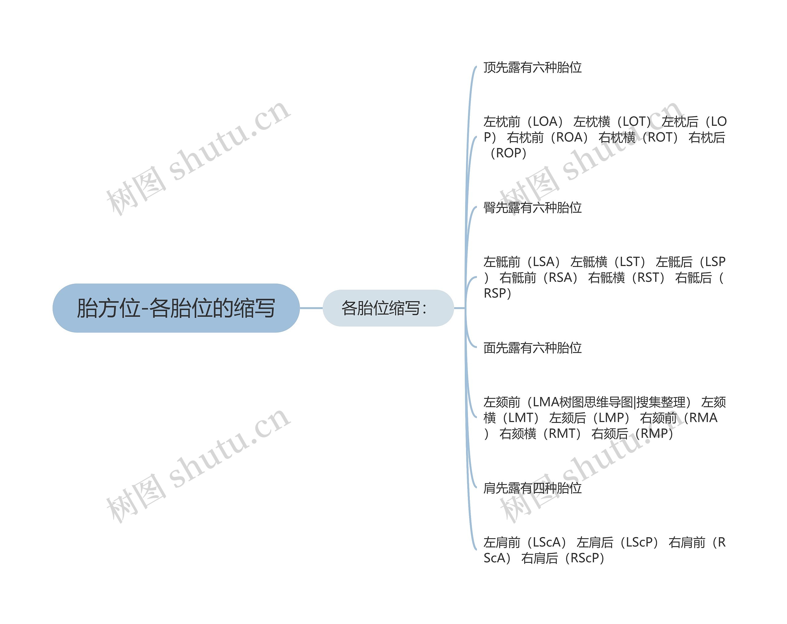 胎方位-各胎位的缩写思维导图