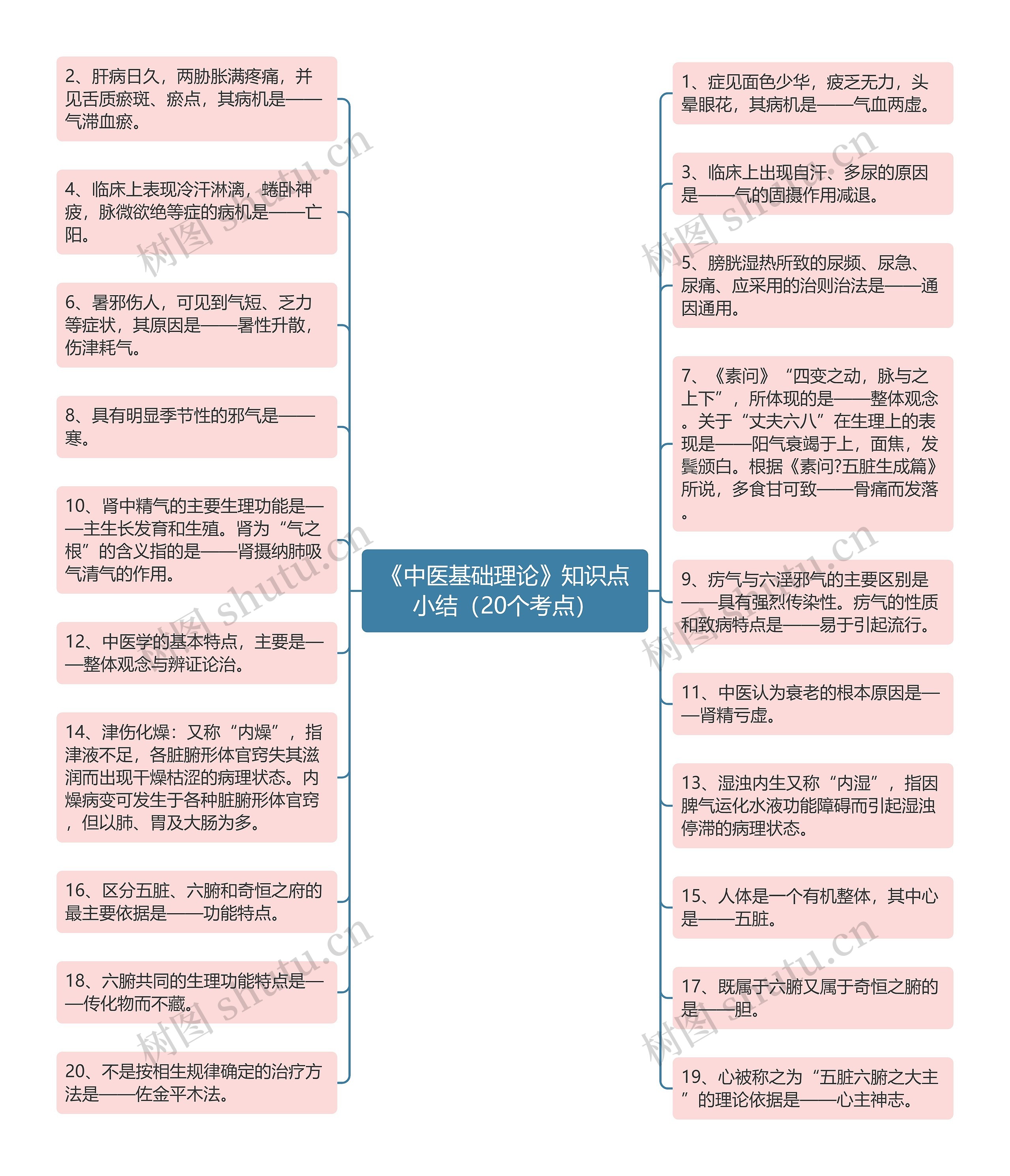 《中医基础理论》知识点小结（20个考点）