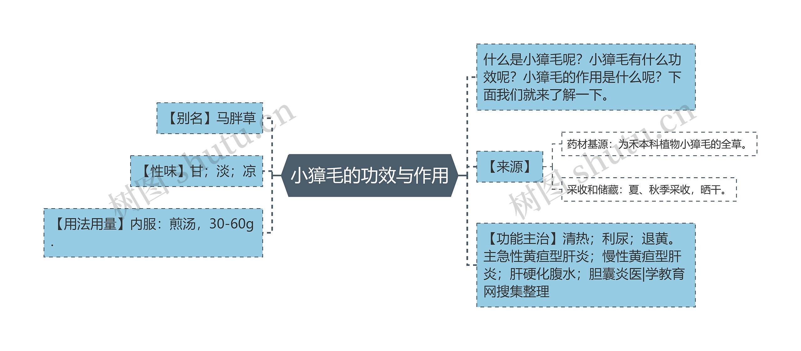 小獐毛的功效与作用