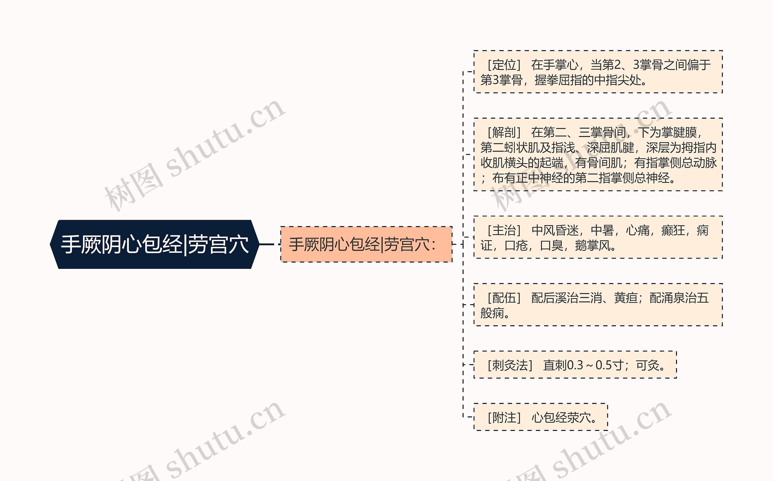 手厥阴心包经|劳宫穴思维导图