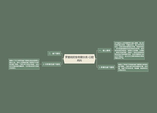 牙菌斑的生物膜分类-口腔内科