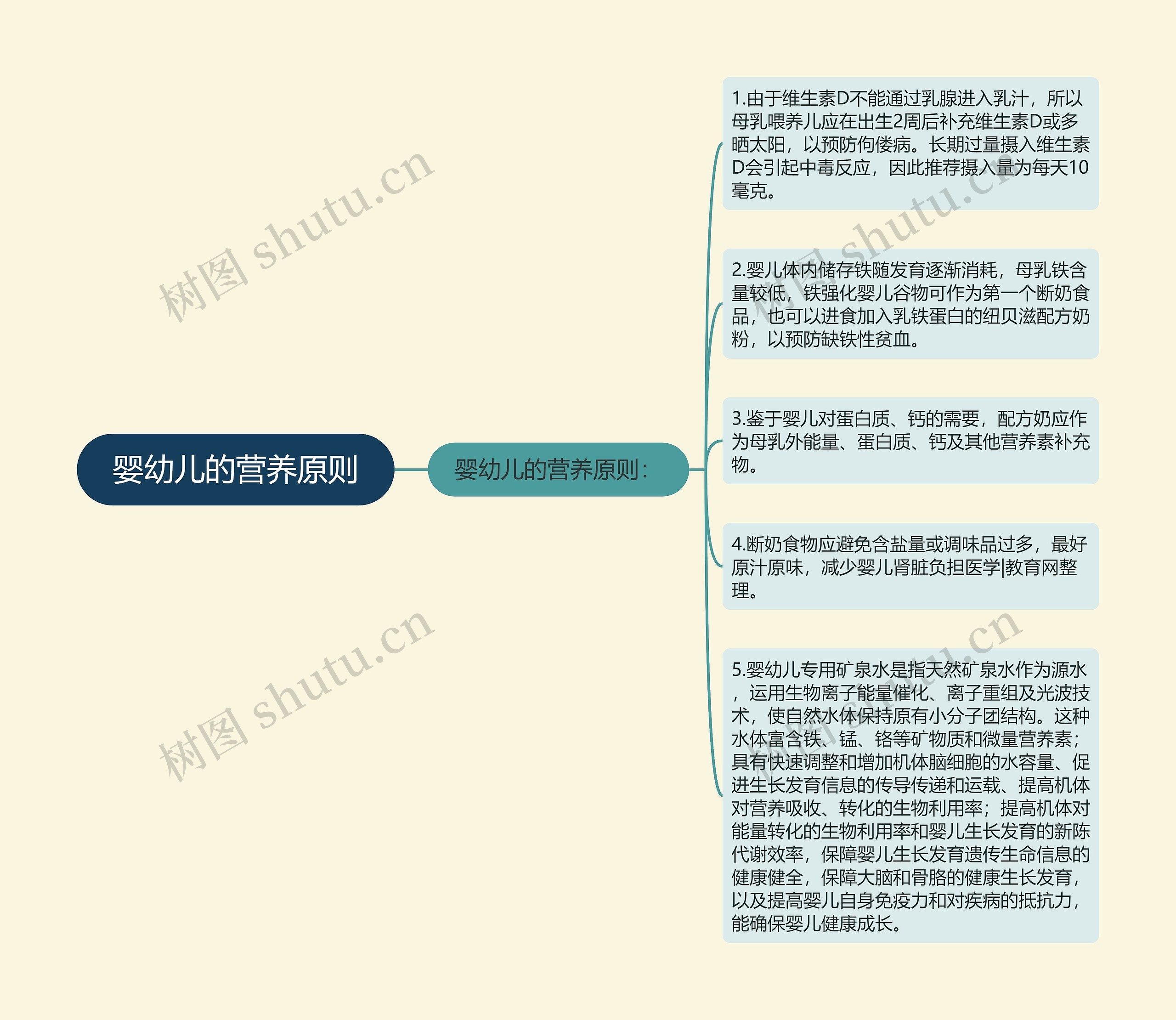 婴幼儿的营养原则思维导图