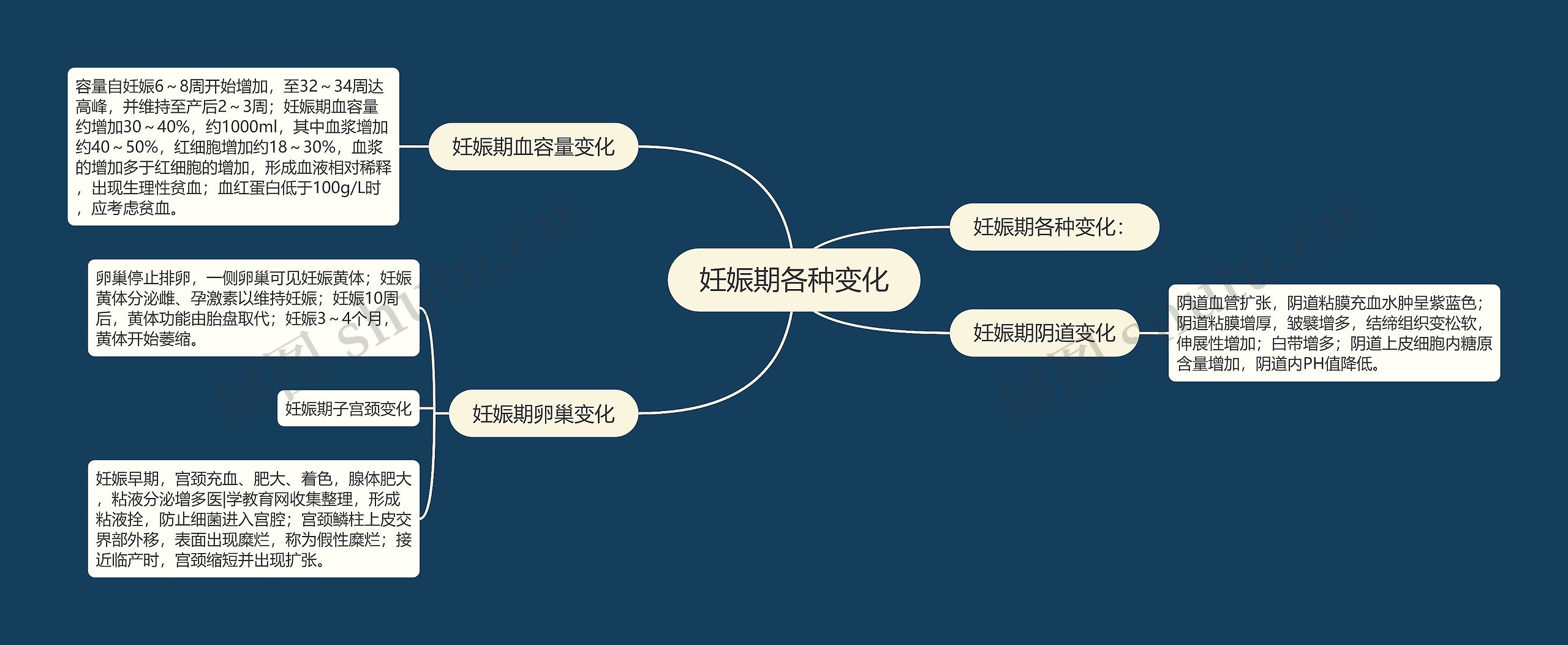 妊娠期各种变化思维导图