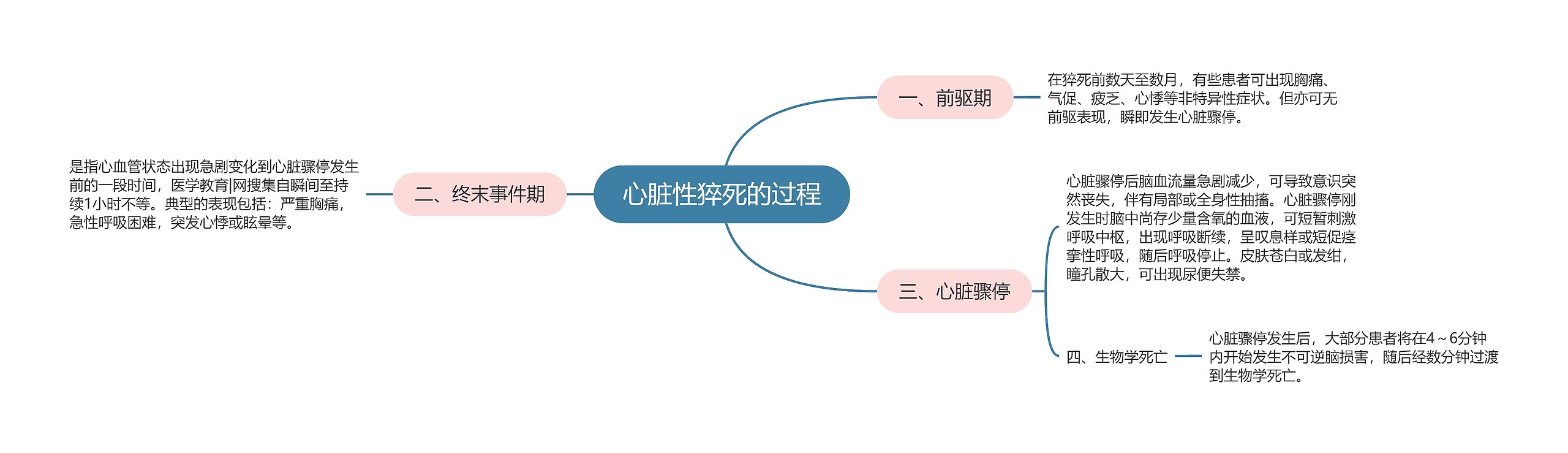 心脏性猝死的过程