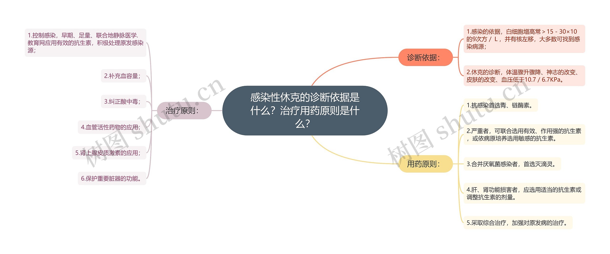 感染性休克的诊断依据是什么？治疗用药原则是什么？思维导图