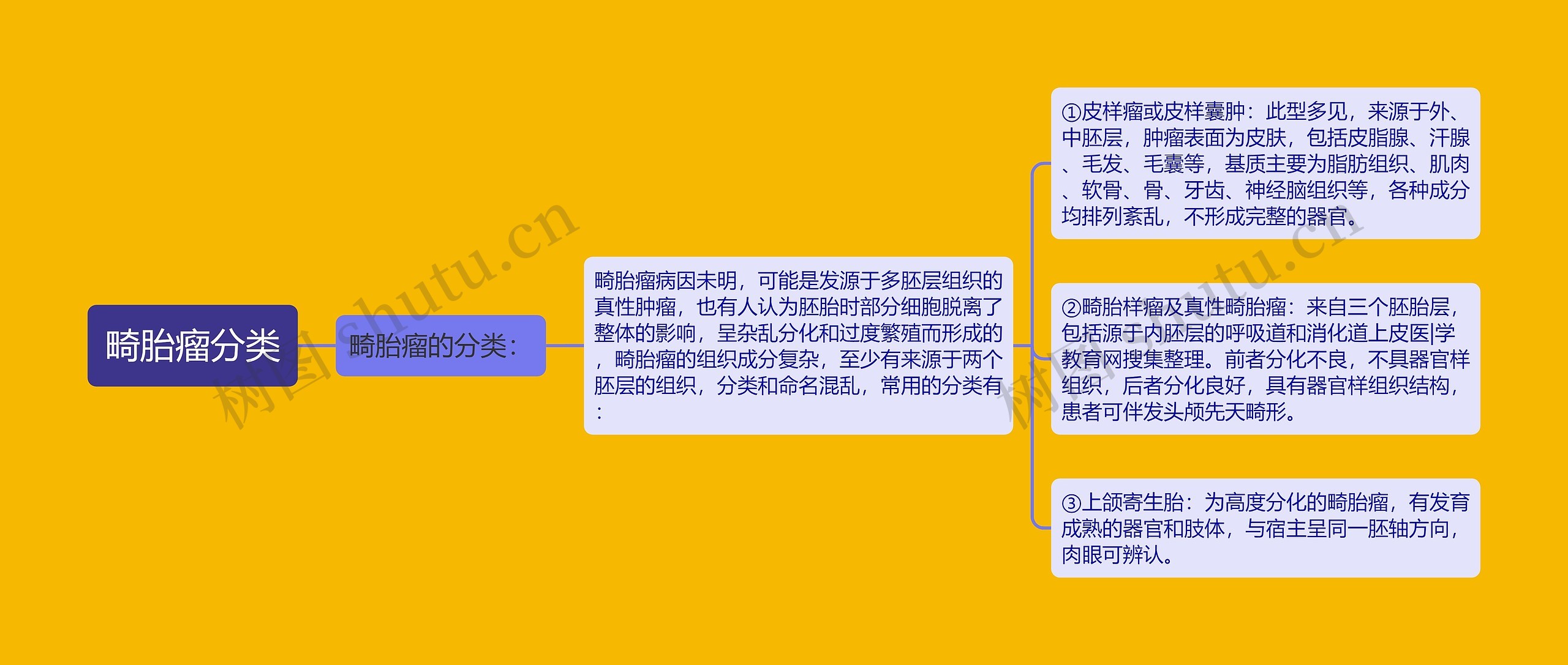 畸胎瘤分类 畸胎瘤分类