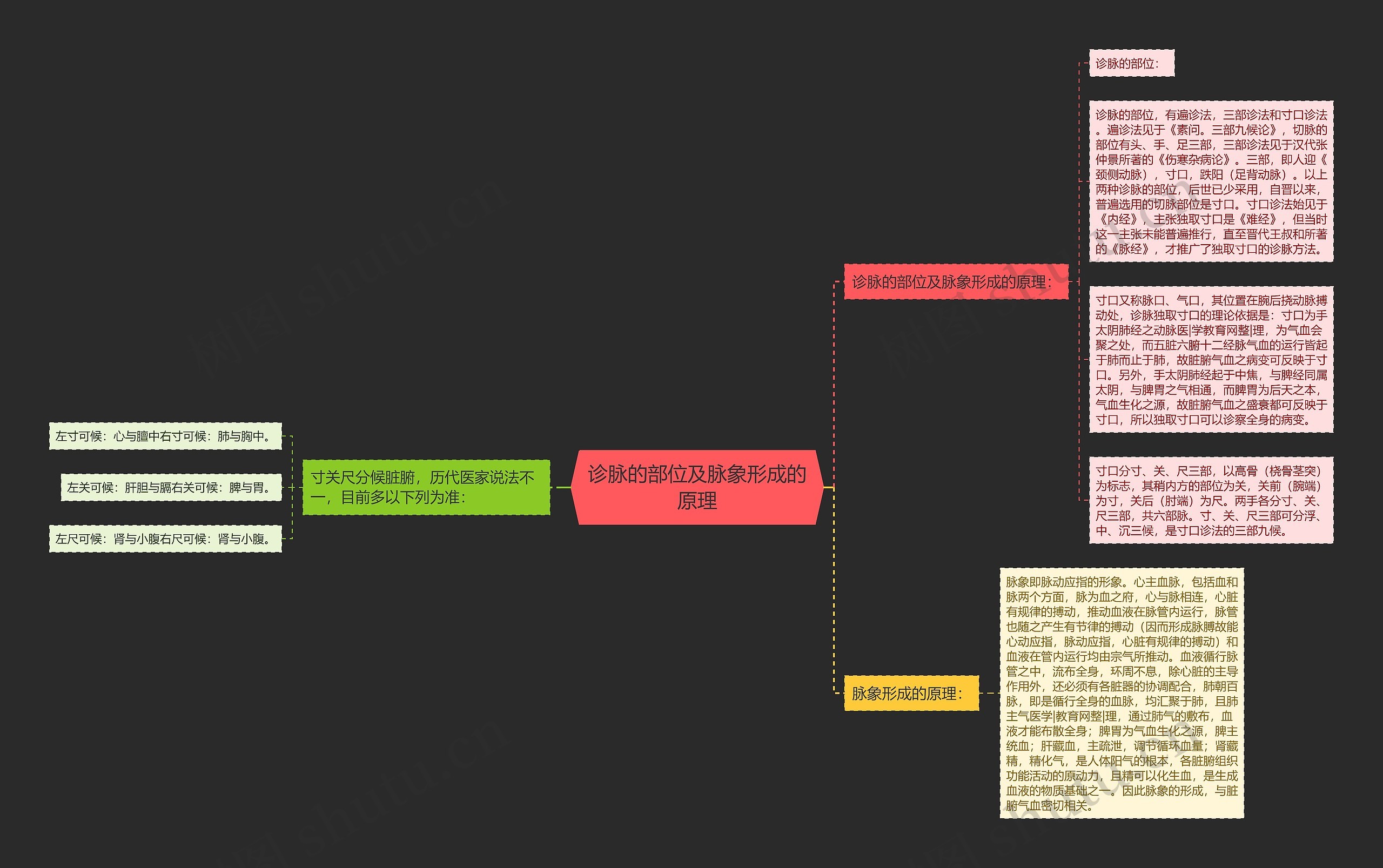 诊脉的部位及脉象形成的原理 诊脉的部位及脉象形成的原理