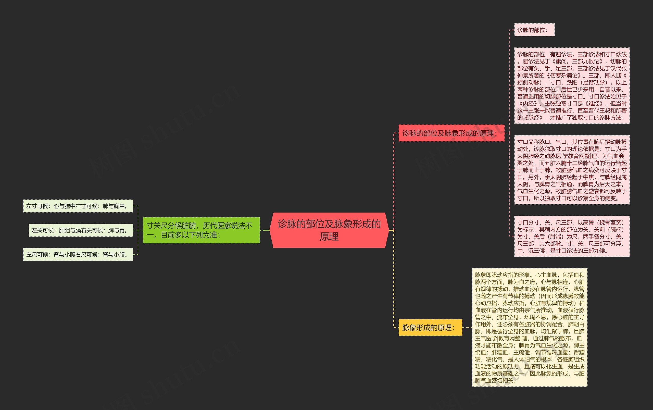 诊脉的部位及脉象形成的原理思维导图