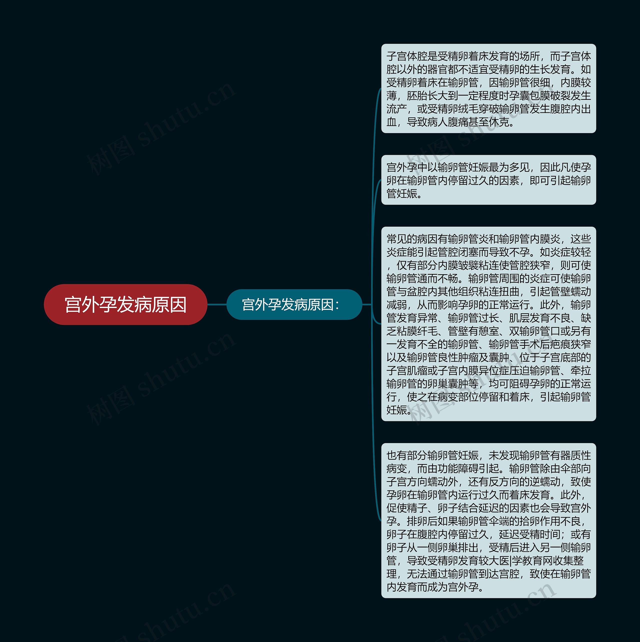 宫外孕发病原因思维导图