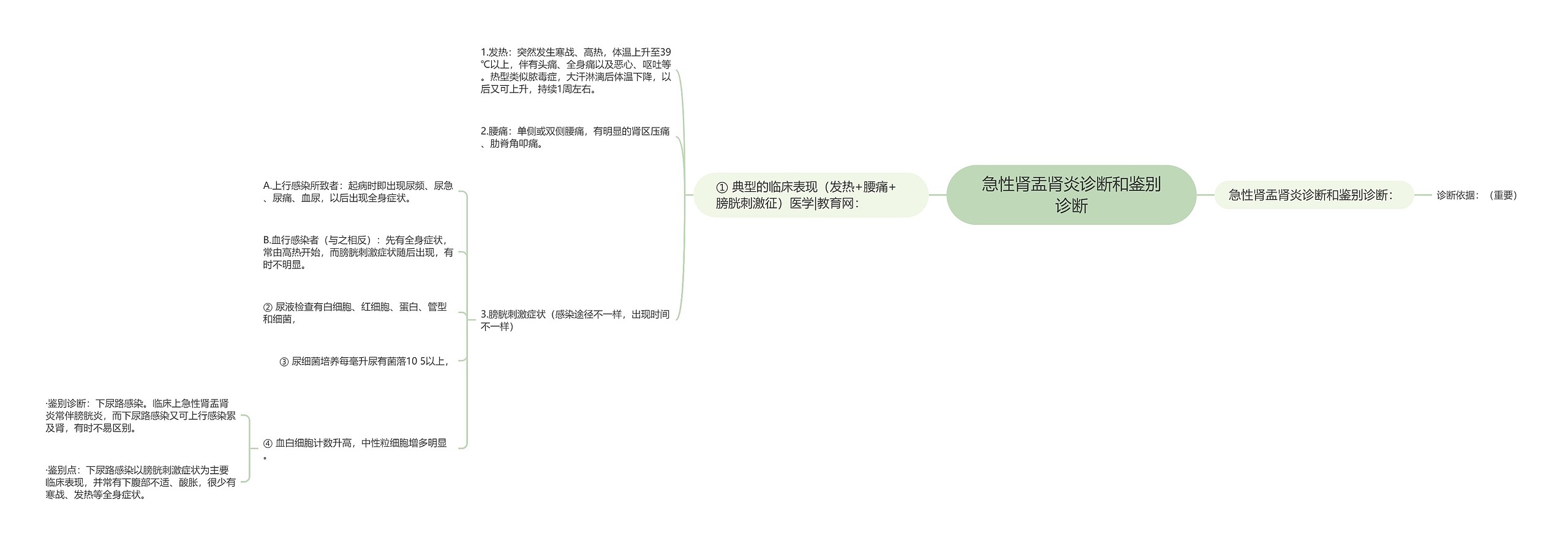 急性肾盂肾炎诊断和鉴别诊断思维导图