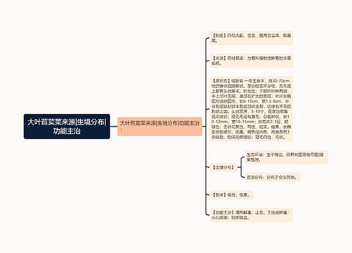 大叶苣荬菜来源|生境分布|功能主治