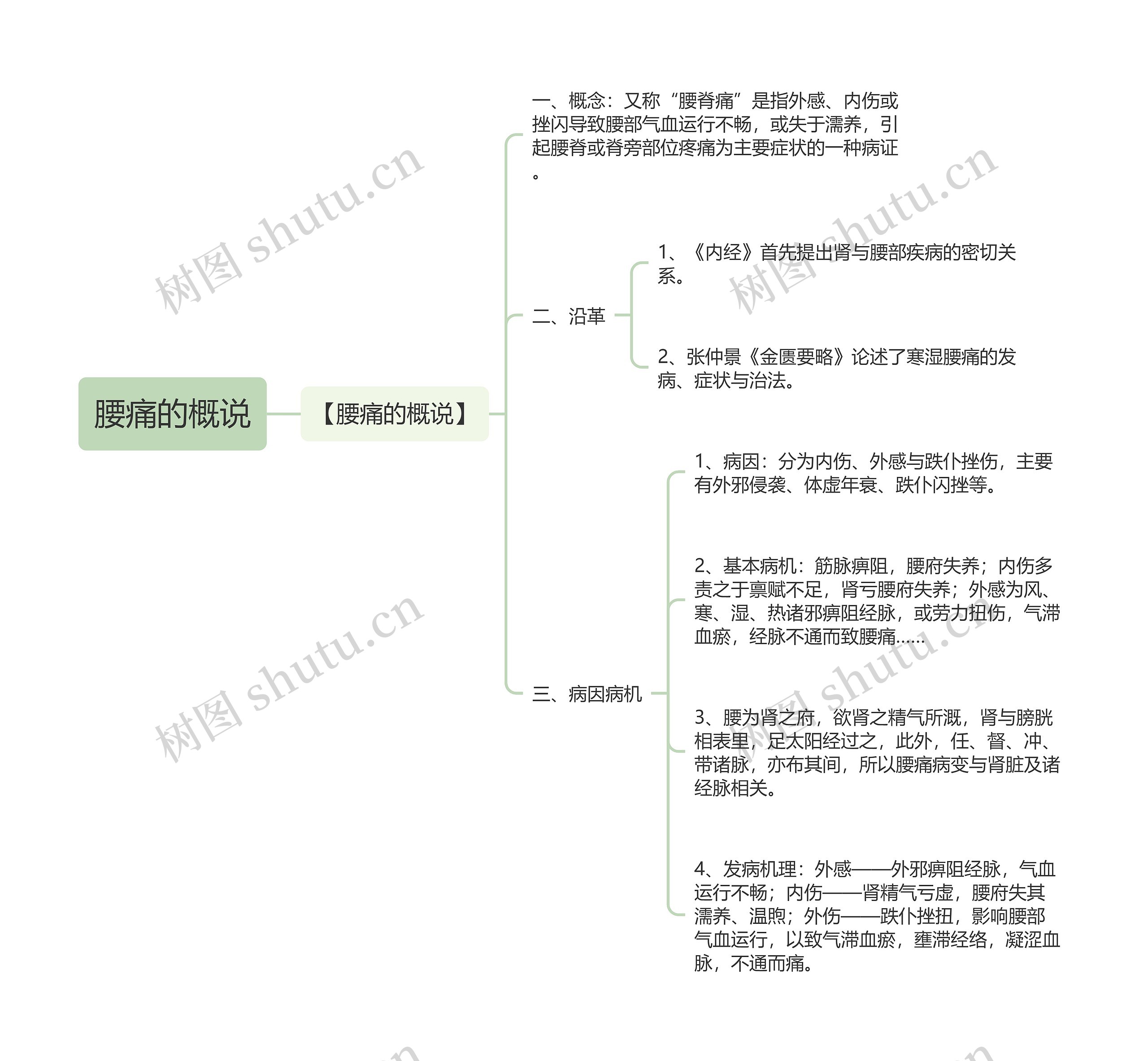 腰痛的概说思维导图