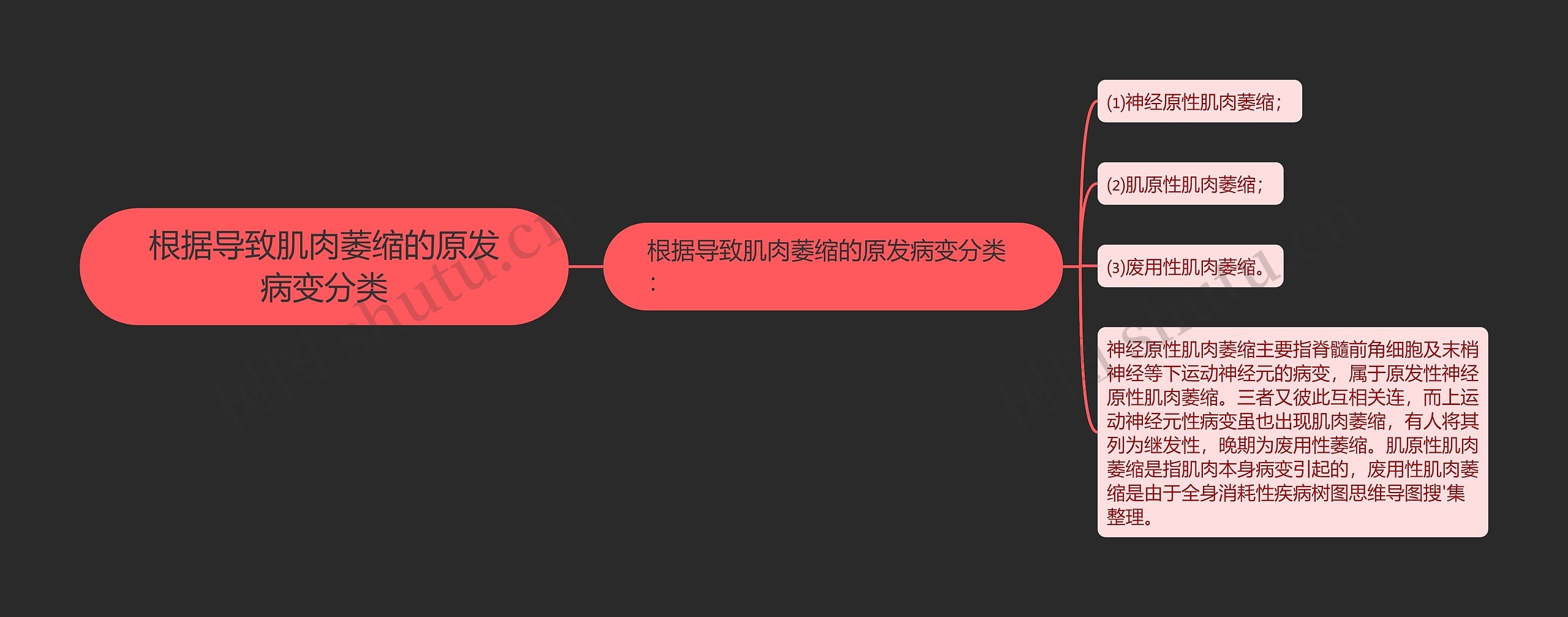 根据导致肌肉萎缩的原发病变分类思维导图