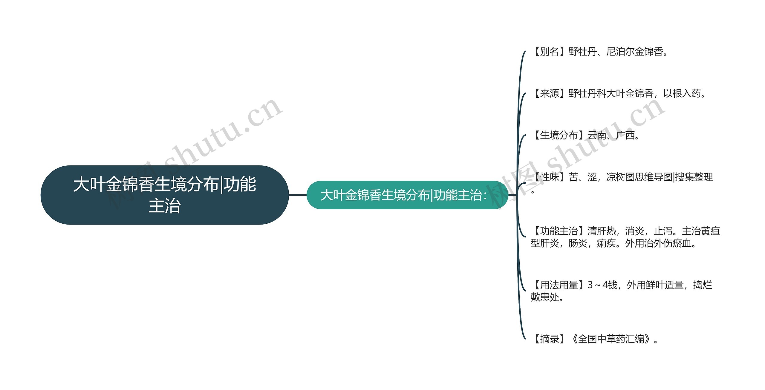 大叶金锦香生境分布|功能主治思维导图