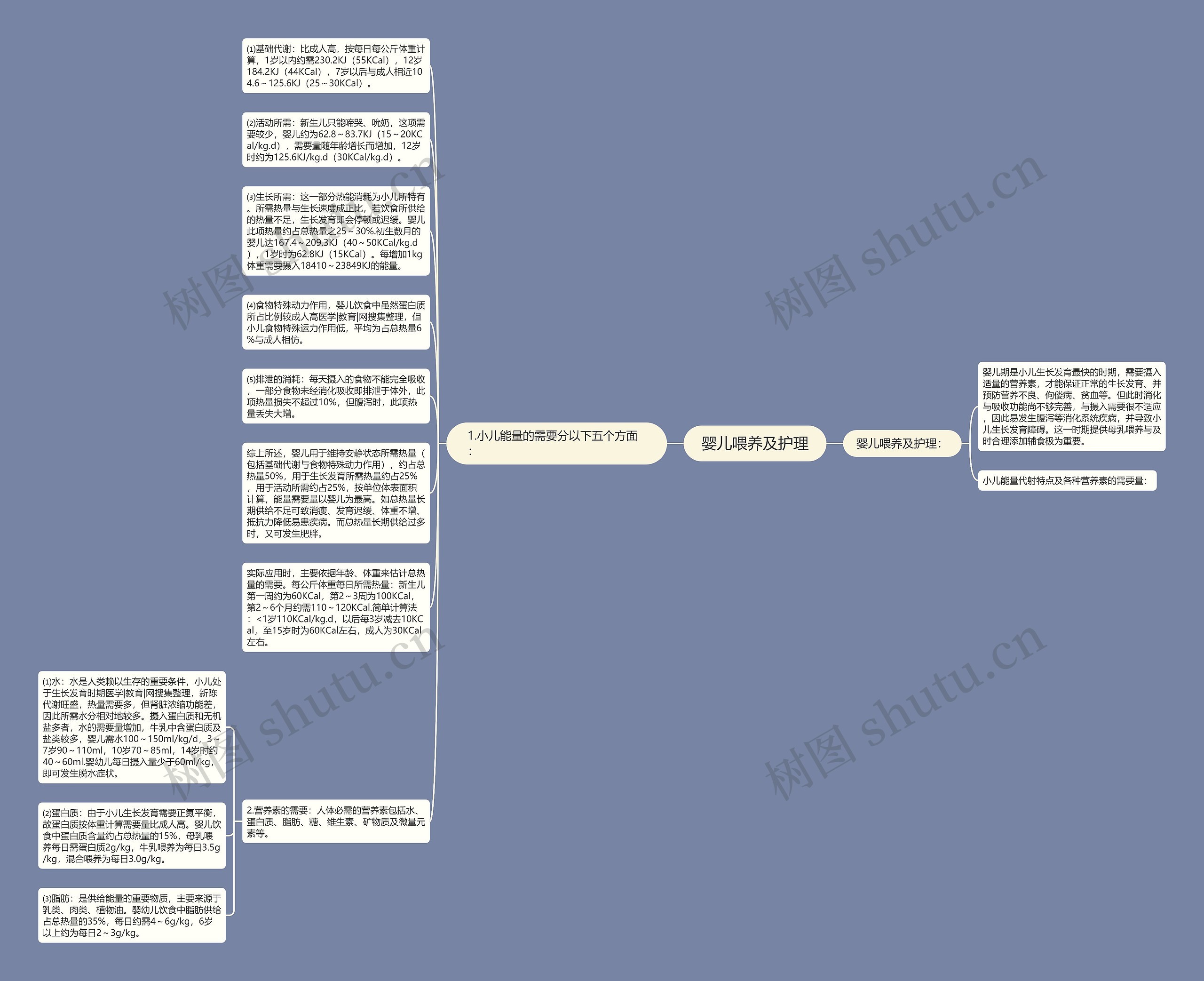 婴儿喂养及护理思维导图