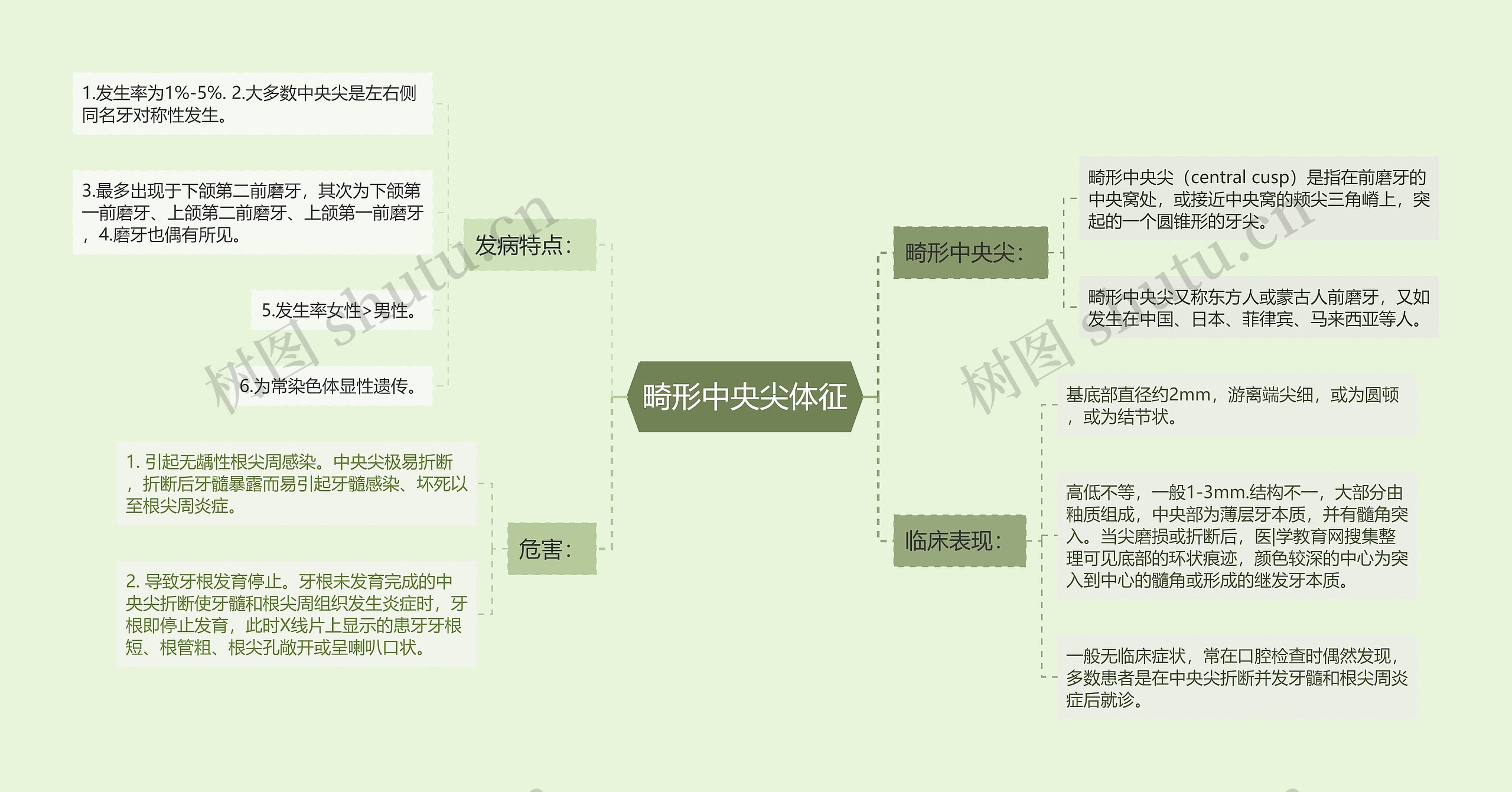 畸形中央尖体征思维导图