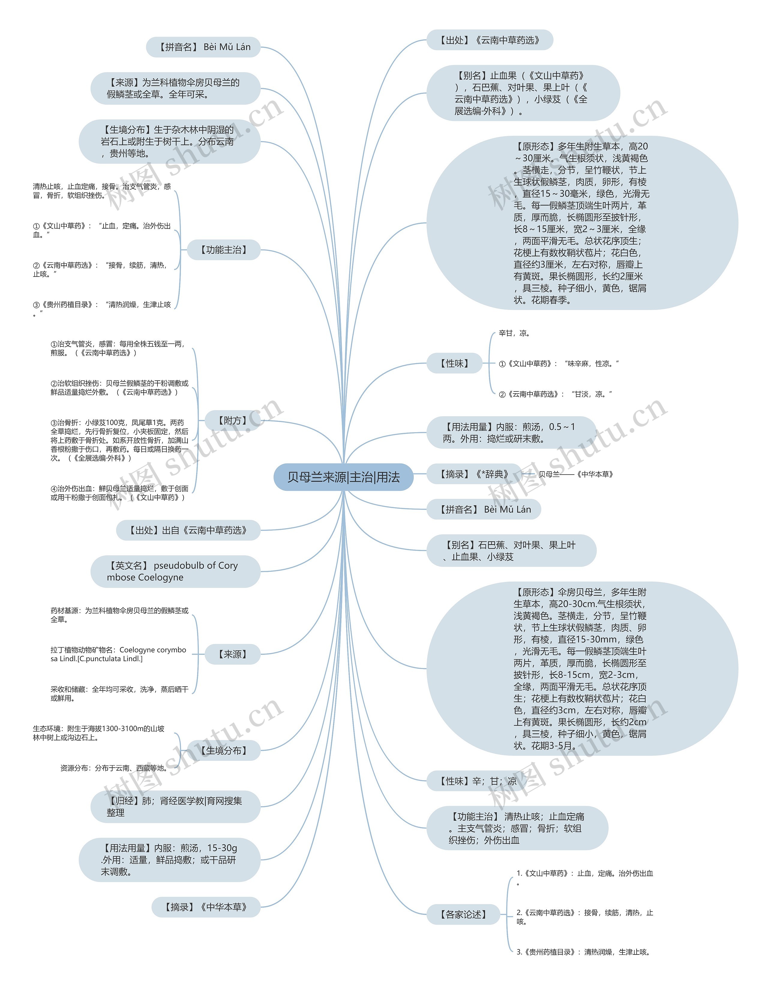 贝母兰来源|主治|用法思维导图