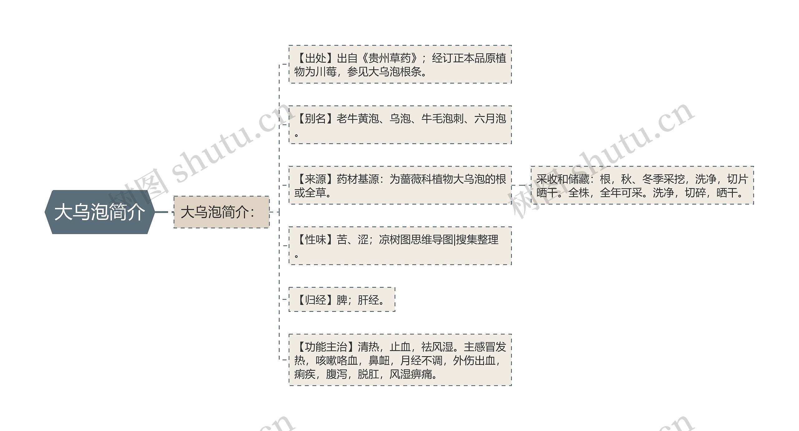 大乌泡简介思维导图