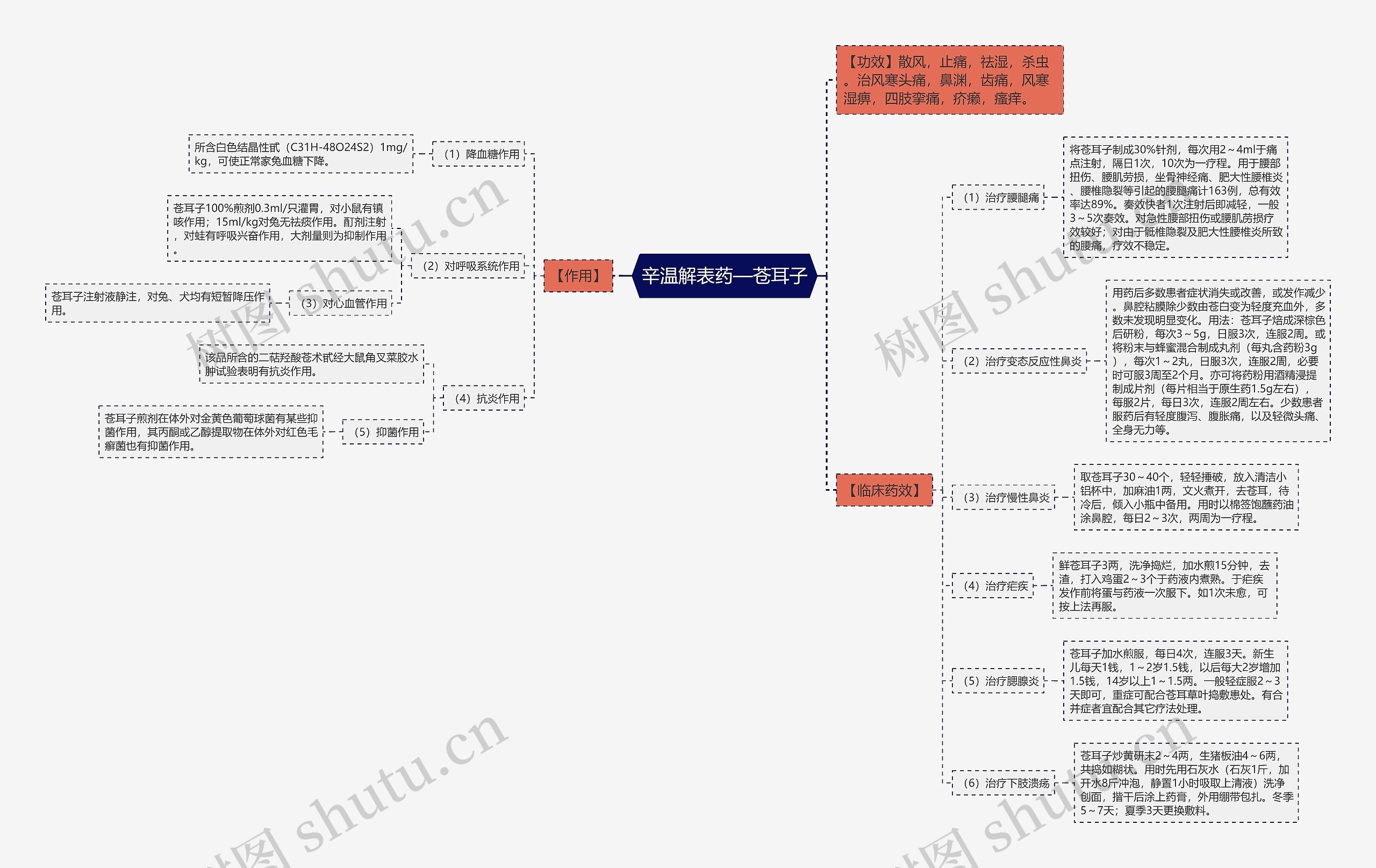 辛温解表药—苍耳子思维导图