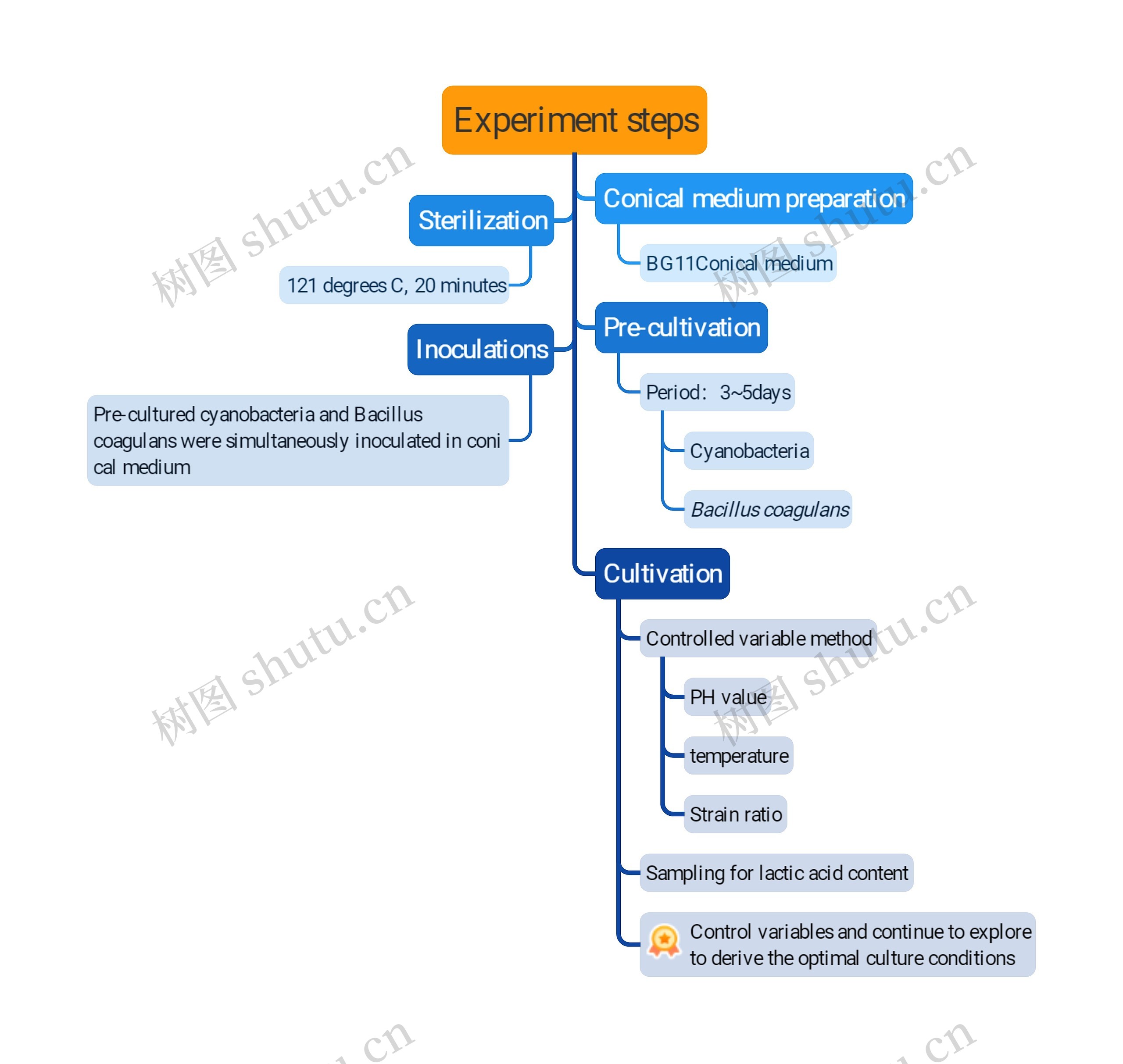 Experiment steps