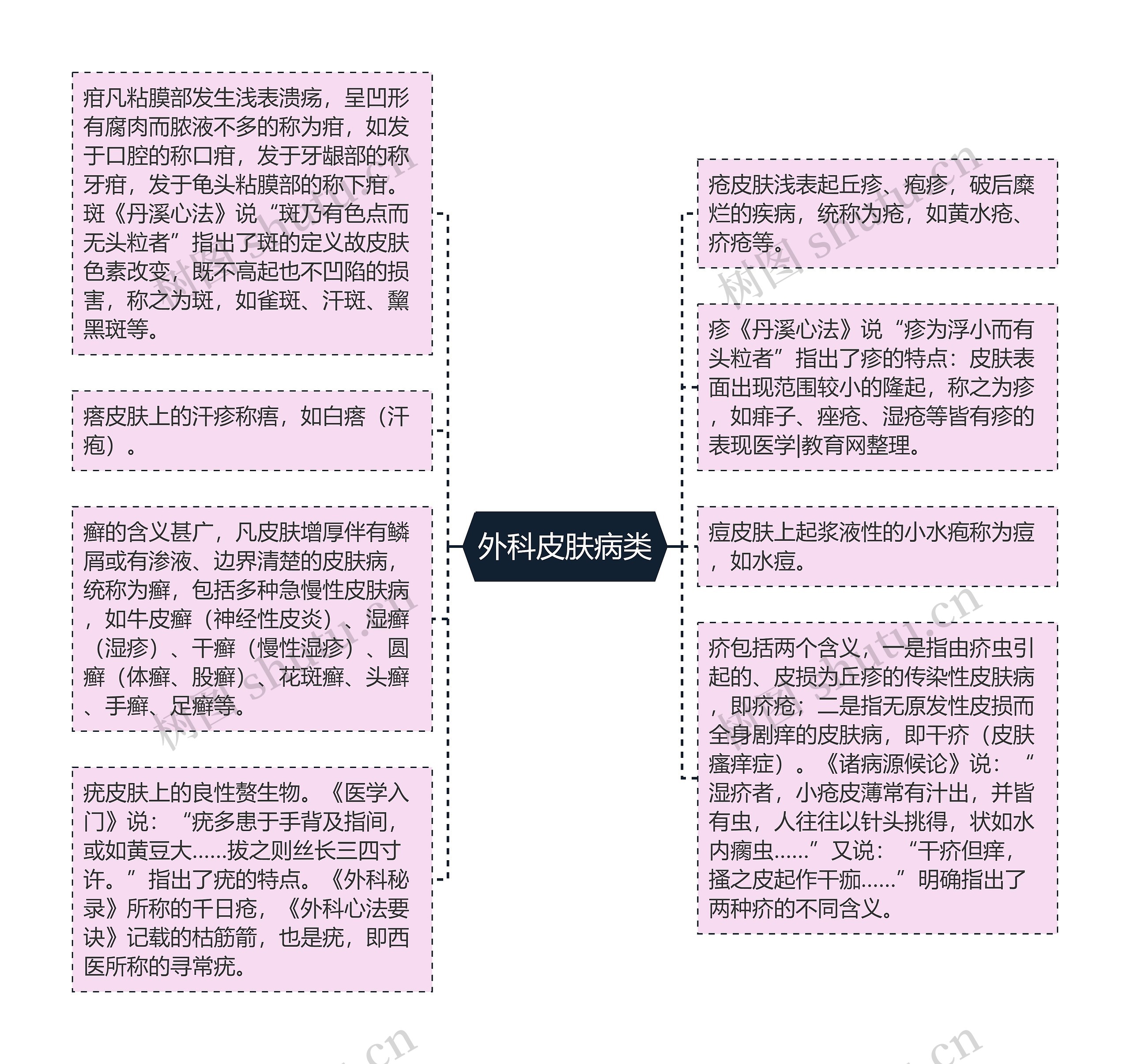 外科皮肤病类