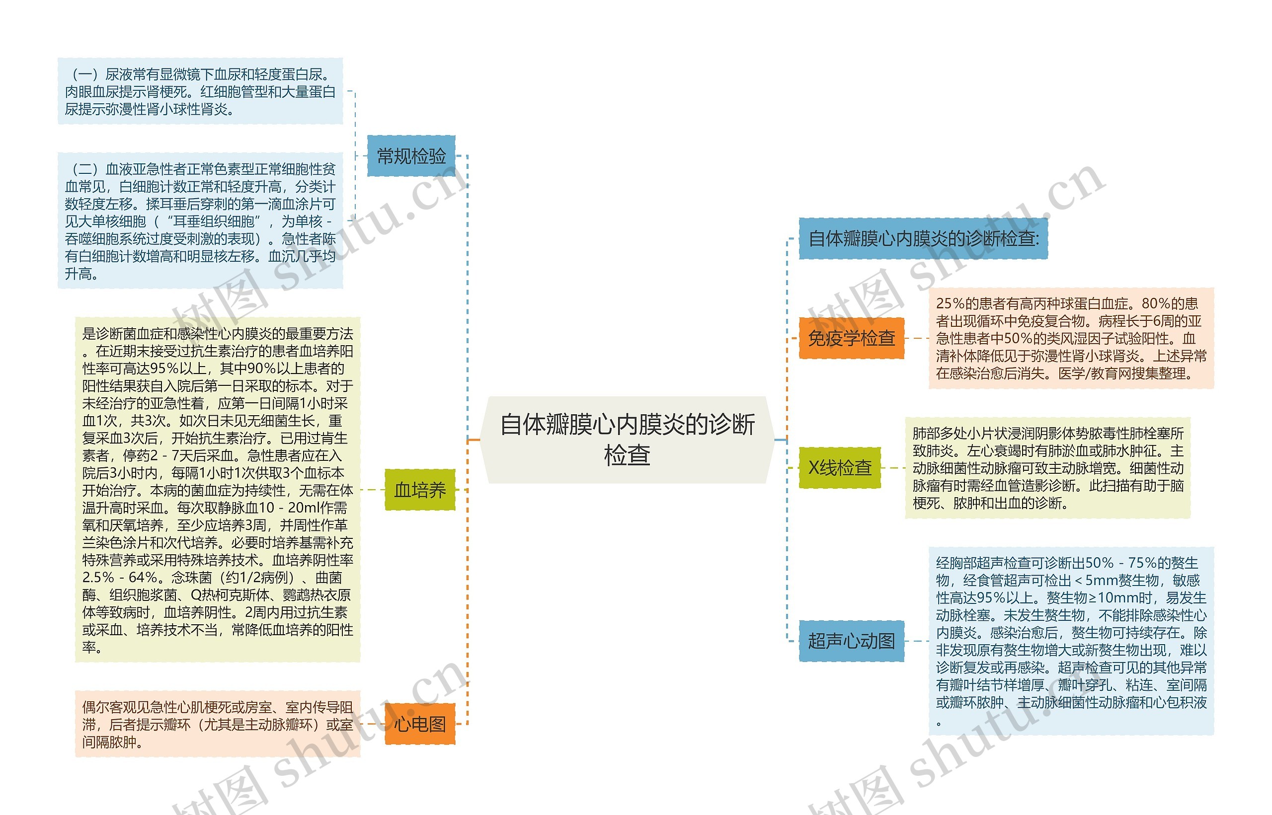 自体瓣膜心内膜炎的诊断检查思维导图