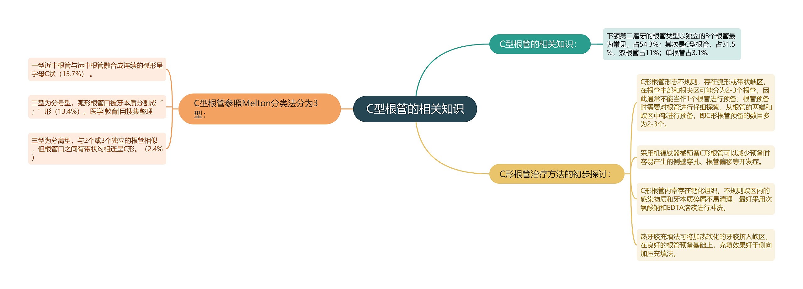 C型根管的相关知识