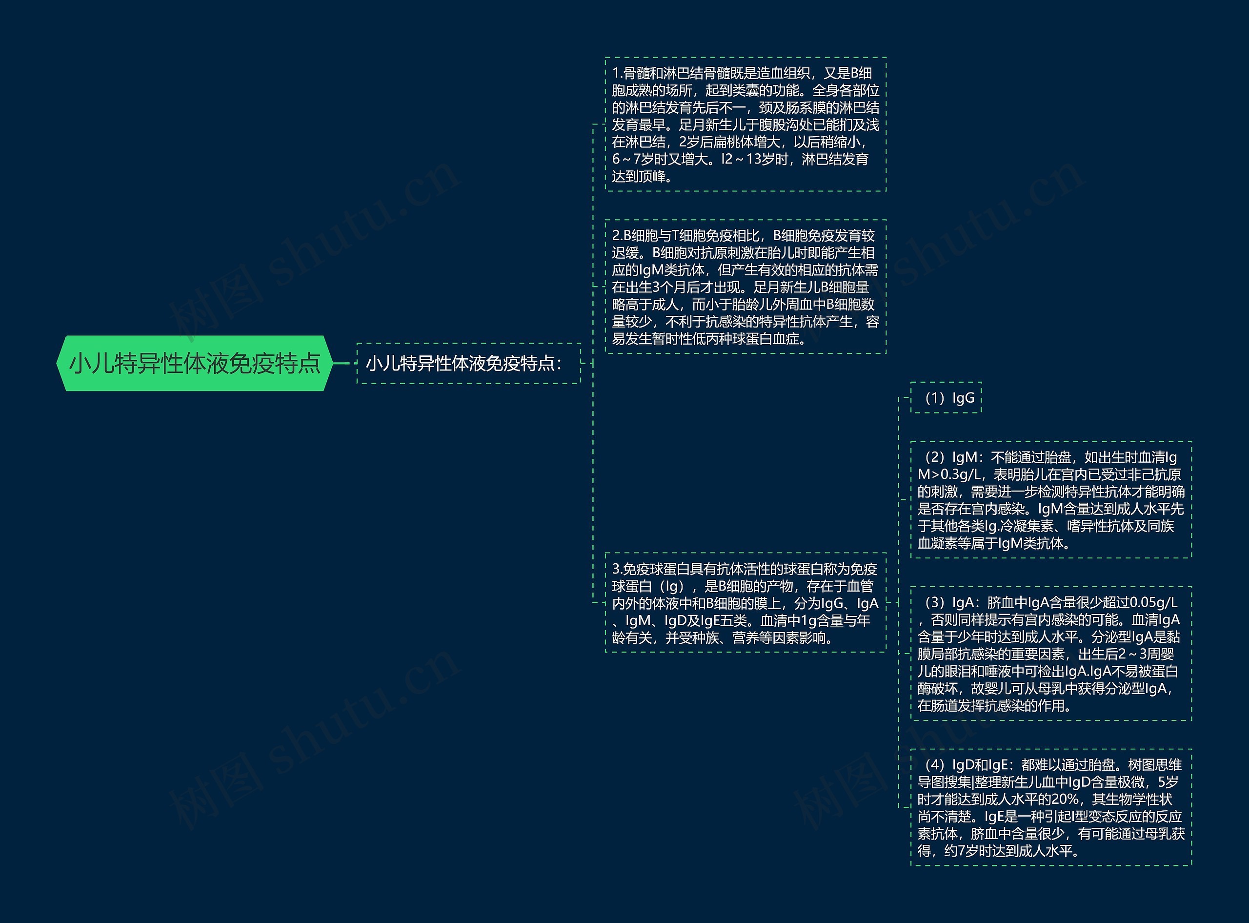 小儿特异性体液免疫特点思维导图