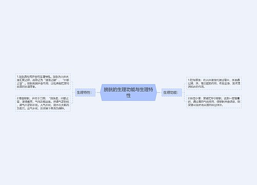 膀胱的生理功能与生理特性