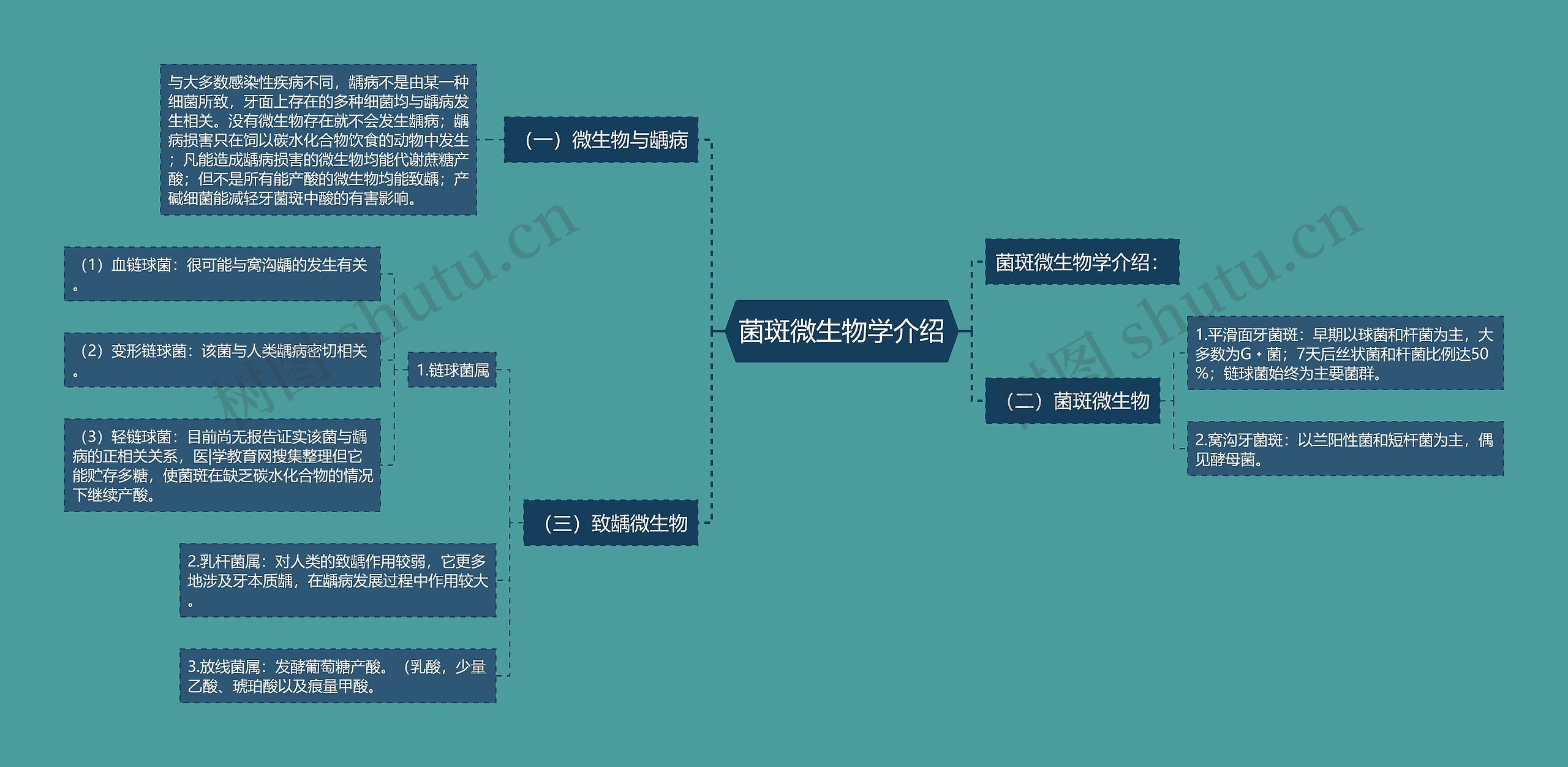 菌斑微生物学介绍