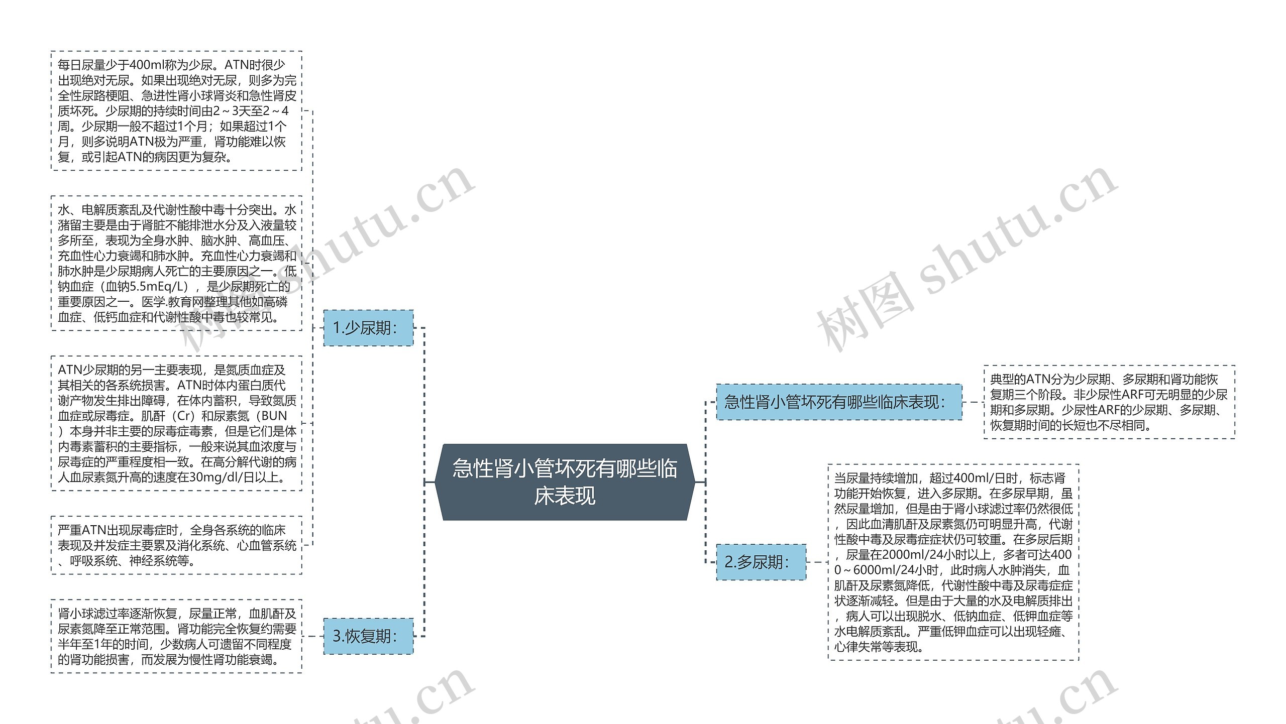 急性肾小管坏死有哪些临床表现思维导图