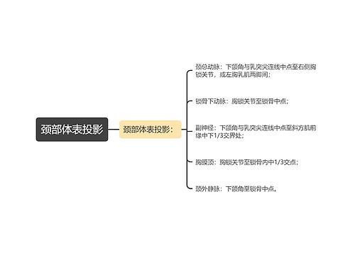 颈部体表投影