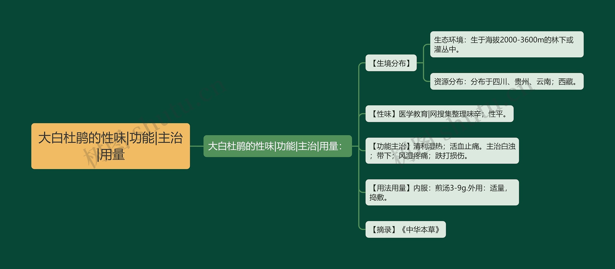 大白杜鹃的性味|功能|主治|用量思维导图