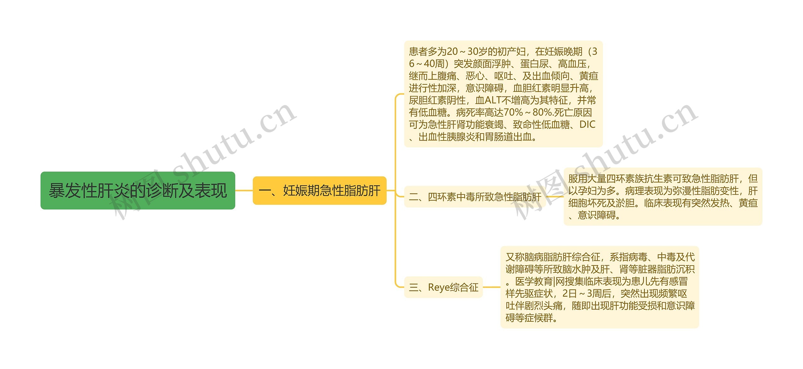 暴发性肝炎的诊断及表现
