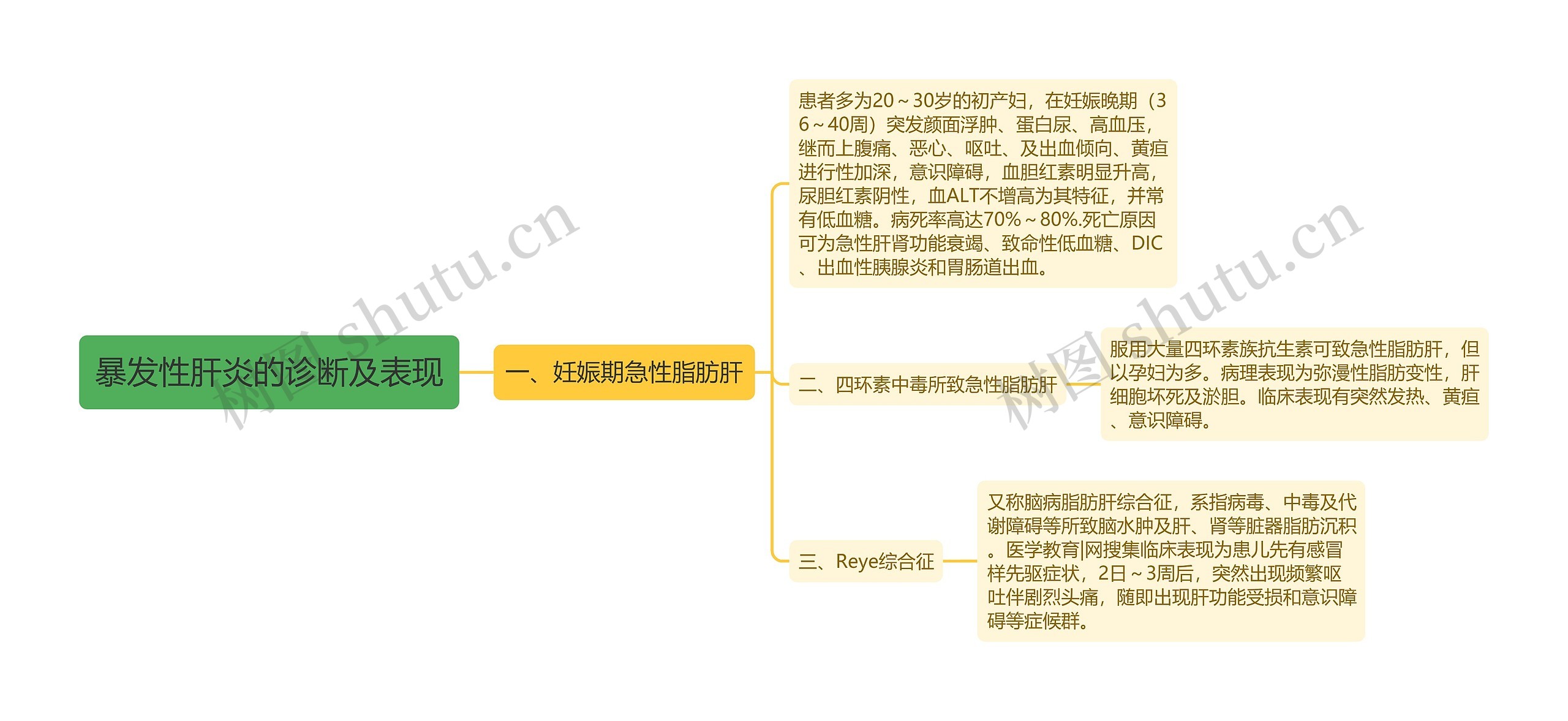 暴发性肝炎的诊断及表现思维导图