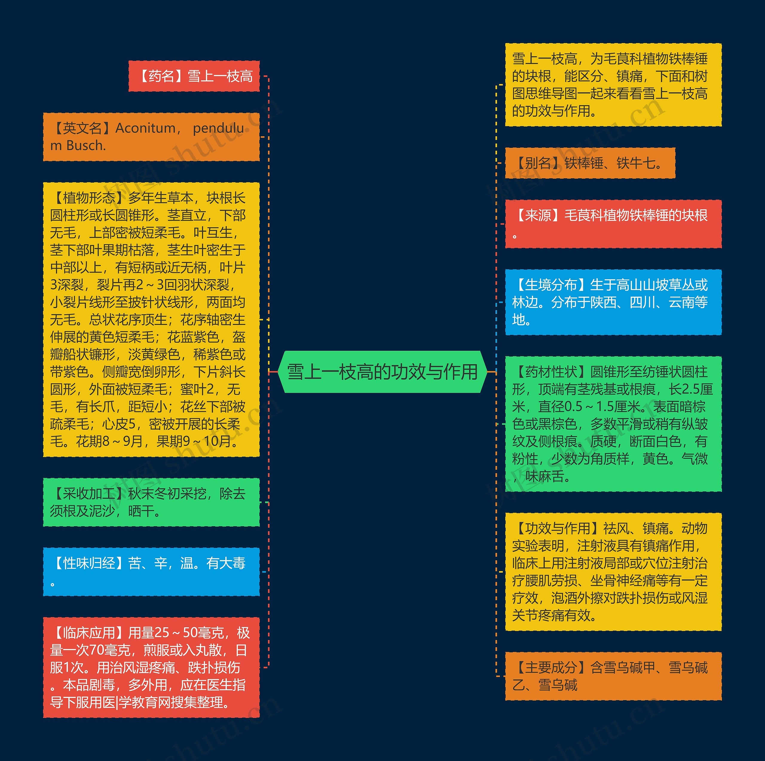 雪上一枝高的功效与作用思维导图