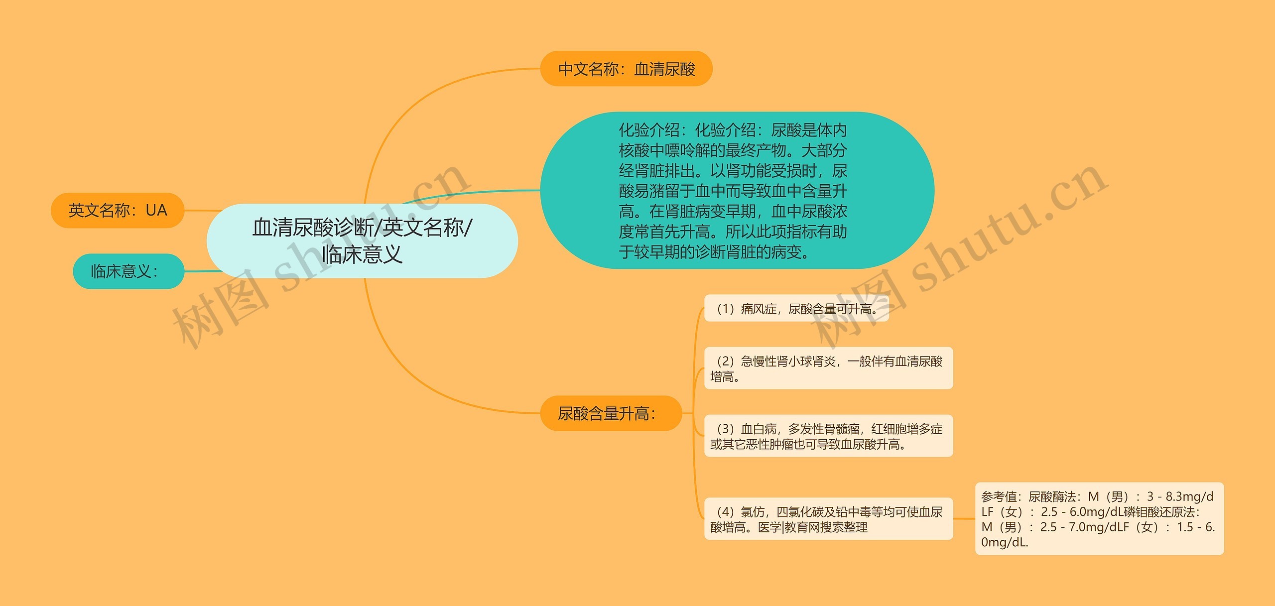 血清尿酸诊断/英文名称/临床意义 血清尿酸诊断/英文名称/临床意义