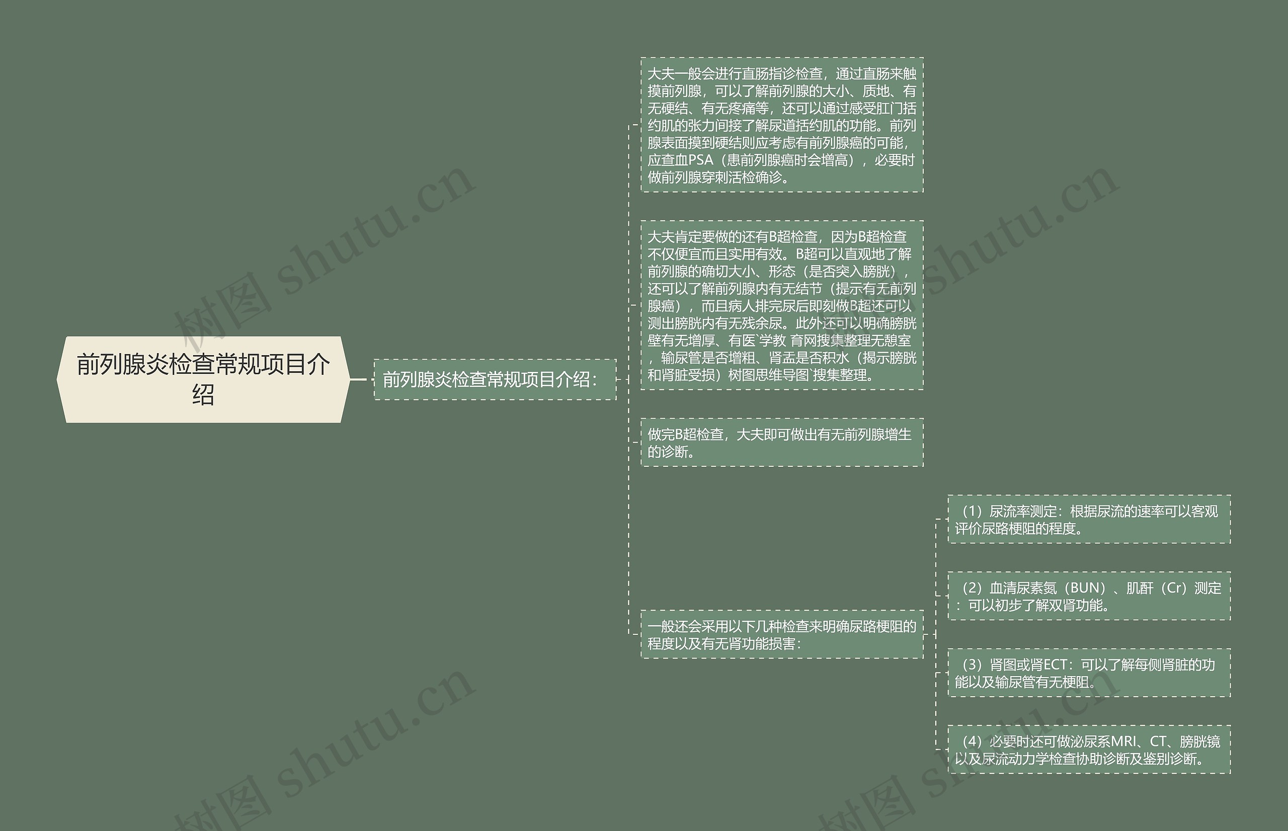 前列腺炎检查常规项目介绍思维导图