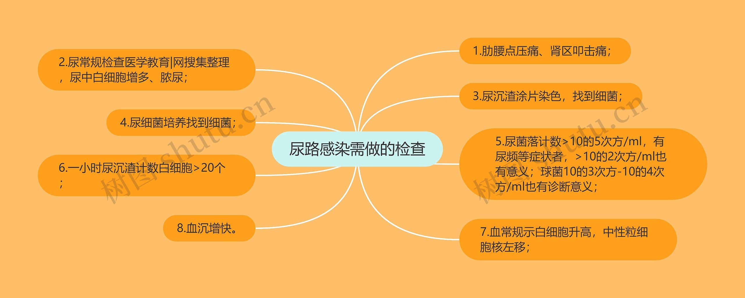 尿路感染需做的检查 尿路感染需做的检查