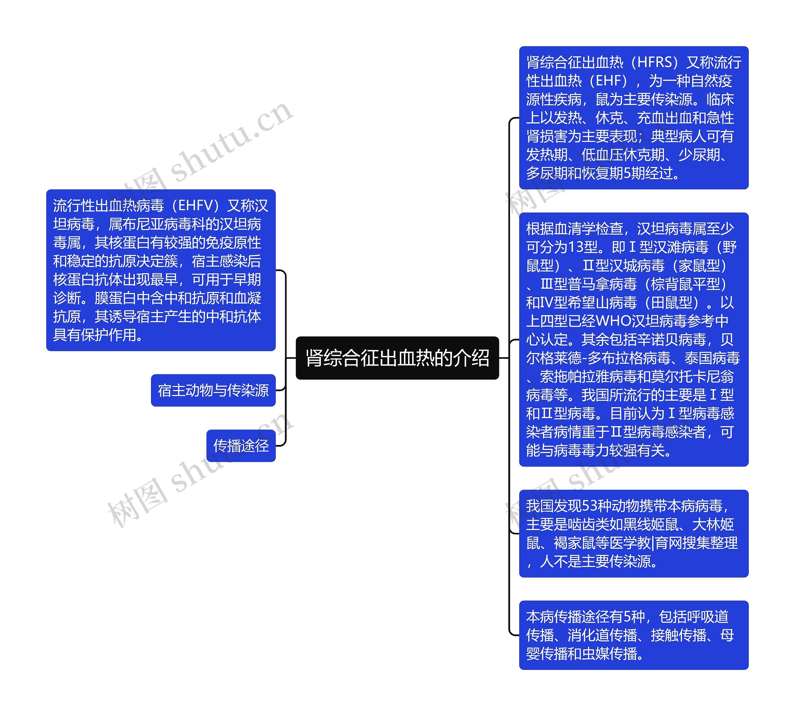 肾综合征出血热的介绍 肾综合征出血热的介绍