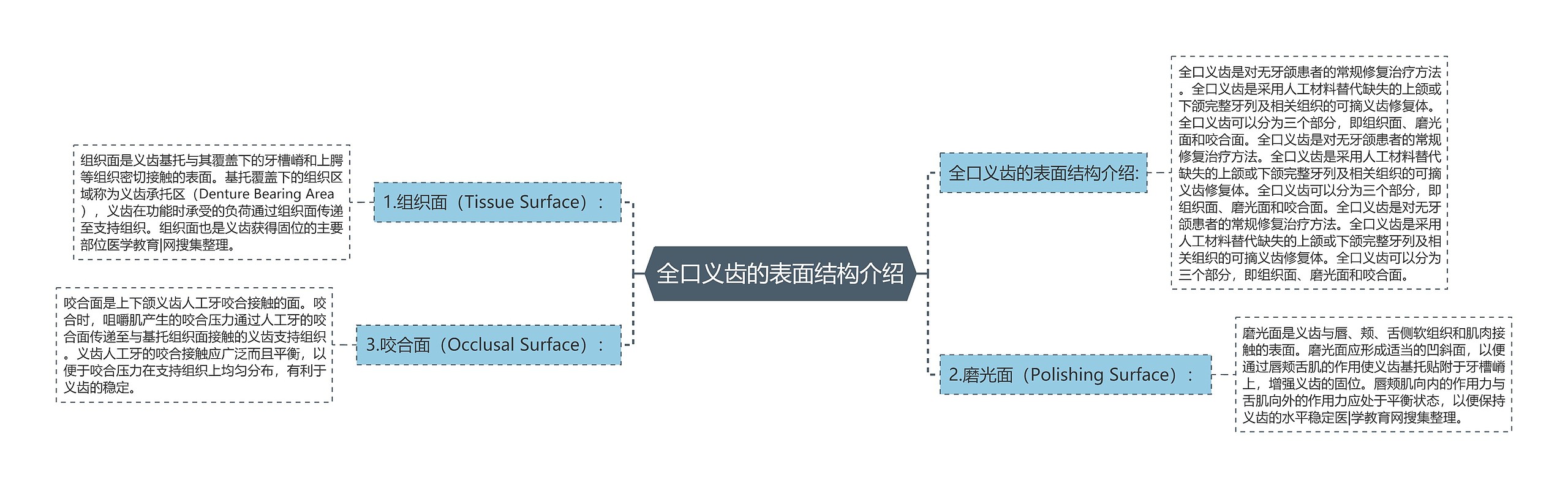 全口义齿的表面结构介绍思维导图