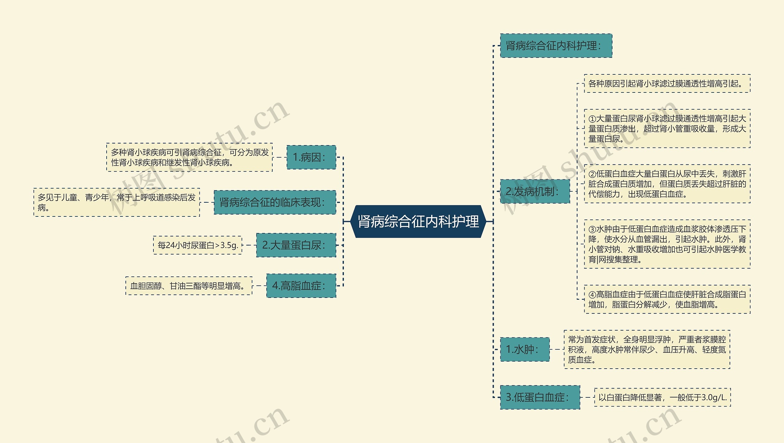 肾病综合征内科护理