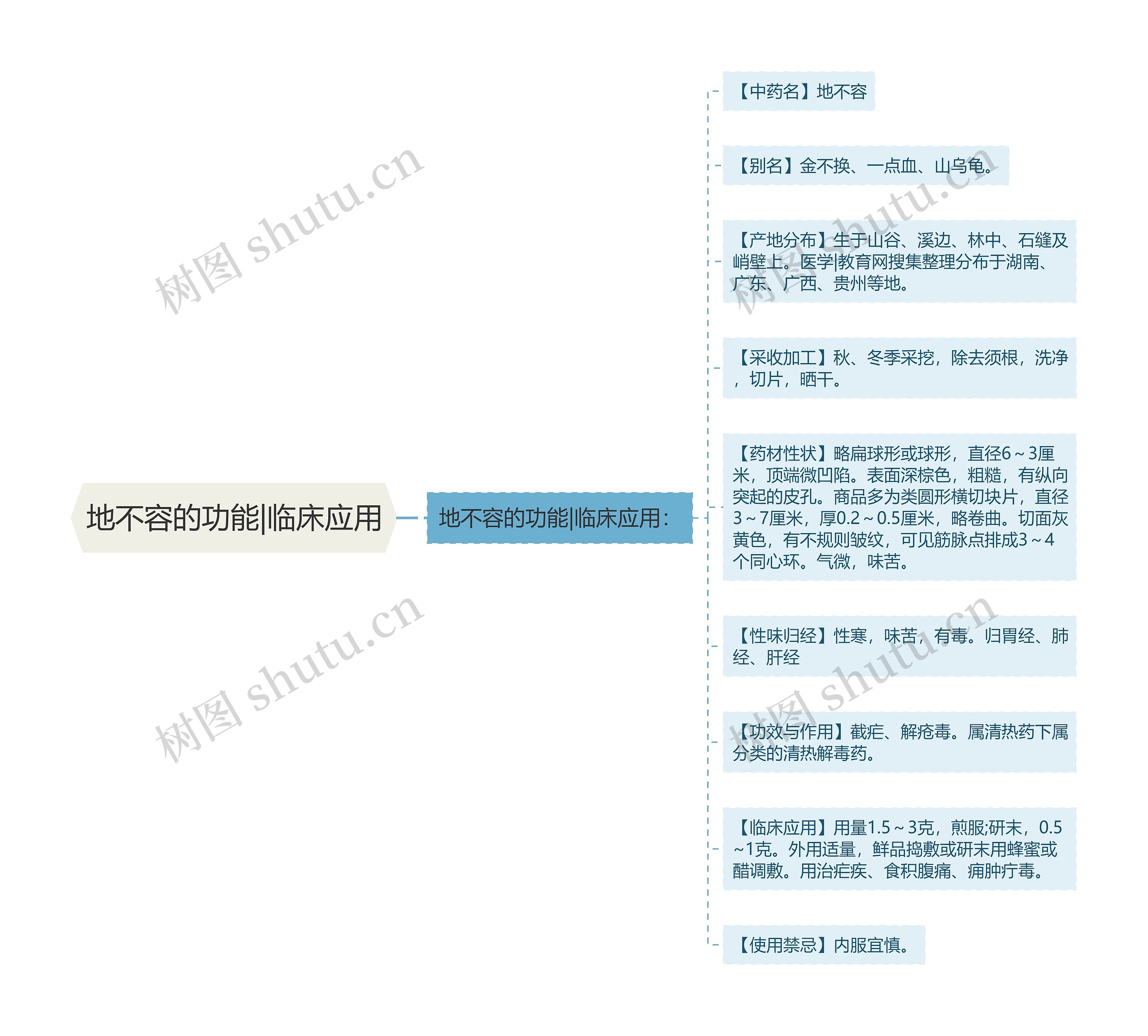 地不容的功能|临床应用思维导图